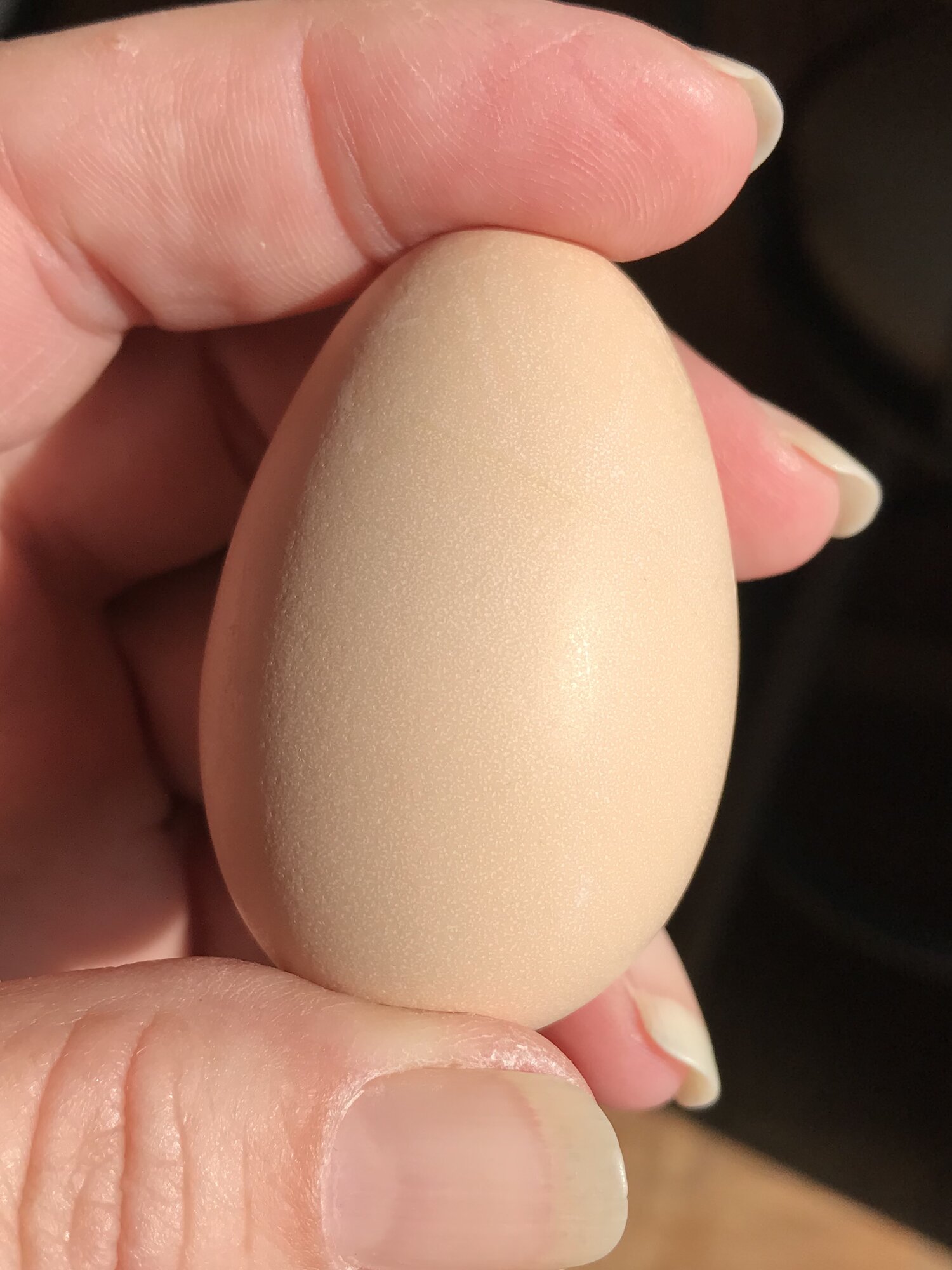 Pullet egg