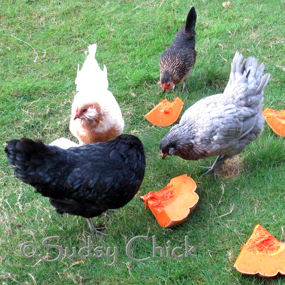 Pumpkin with flax seed - yum!