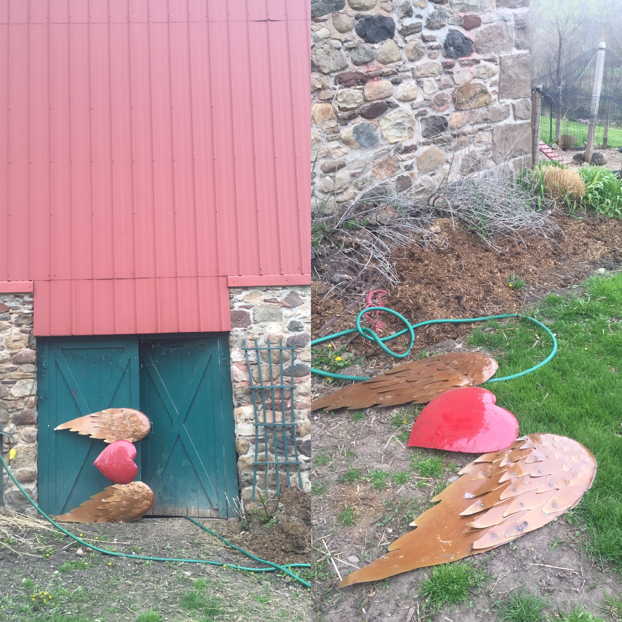 Purchased copper heart for the entry to our coop from The Purple Painted Lady shop in Macedon, NY. I cannot wait to hang it on my barn above the entry, we love our ladies!!!