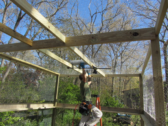 putting the chicken wire up top