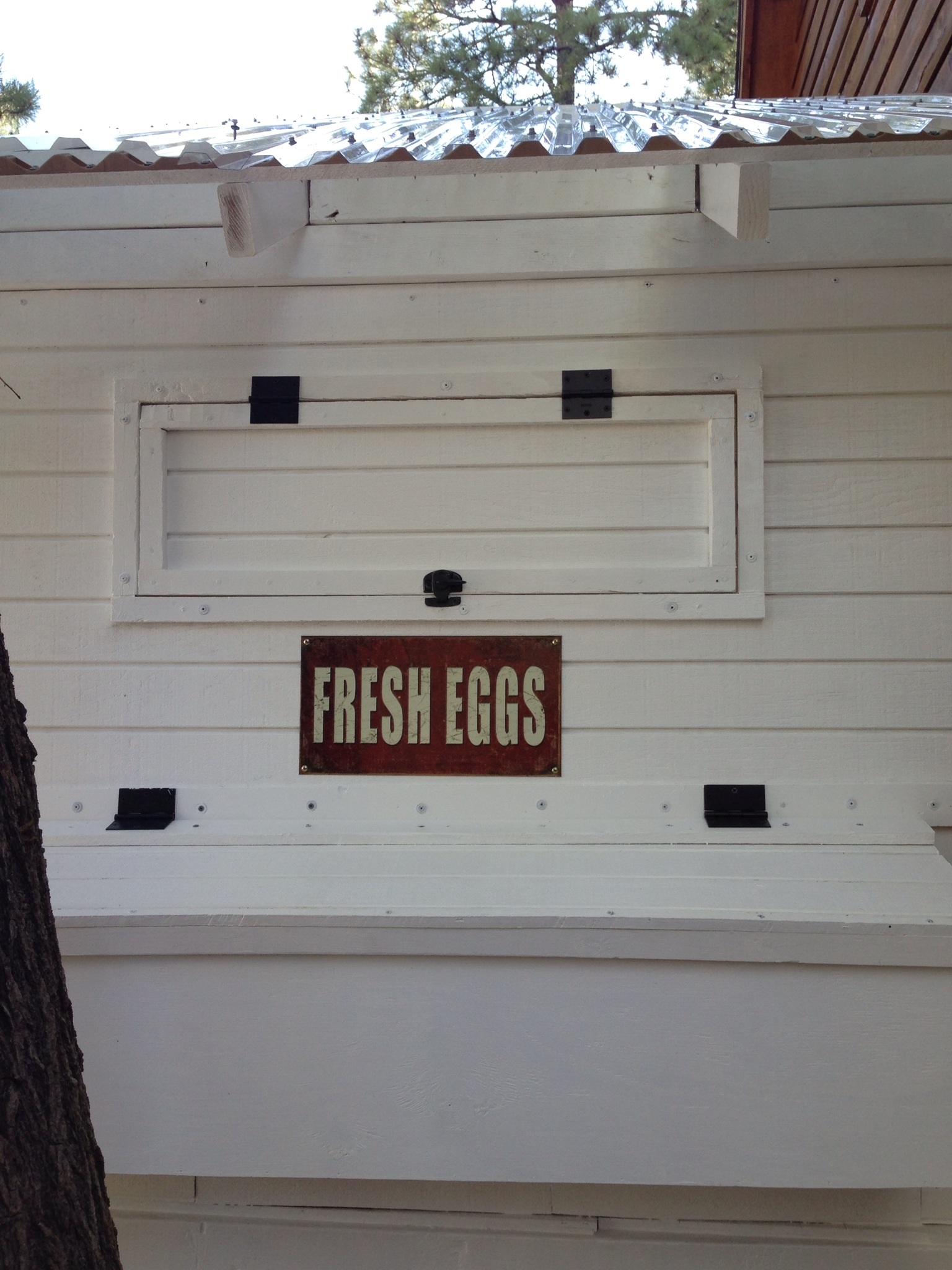 Putting the finishing touches to the layer coop