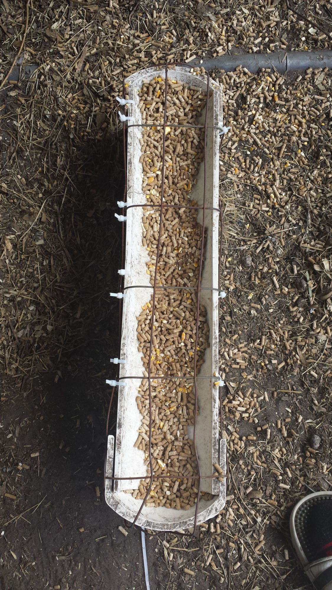 PVC feed trough