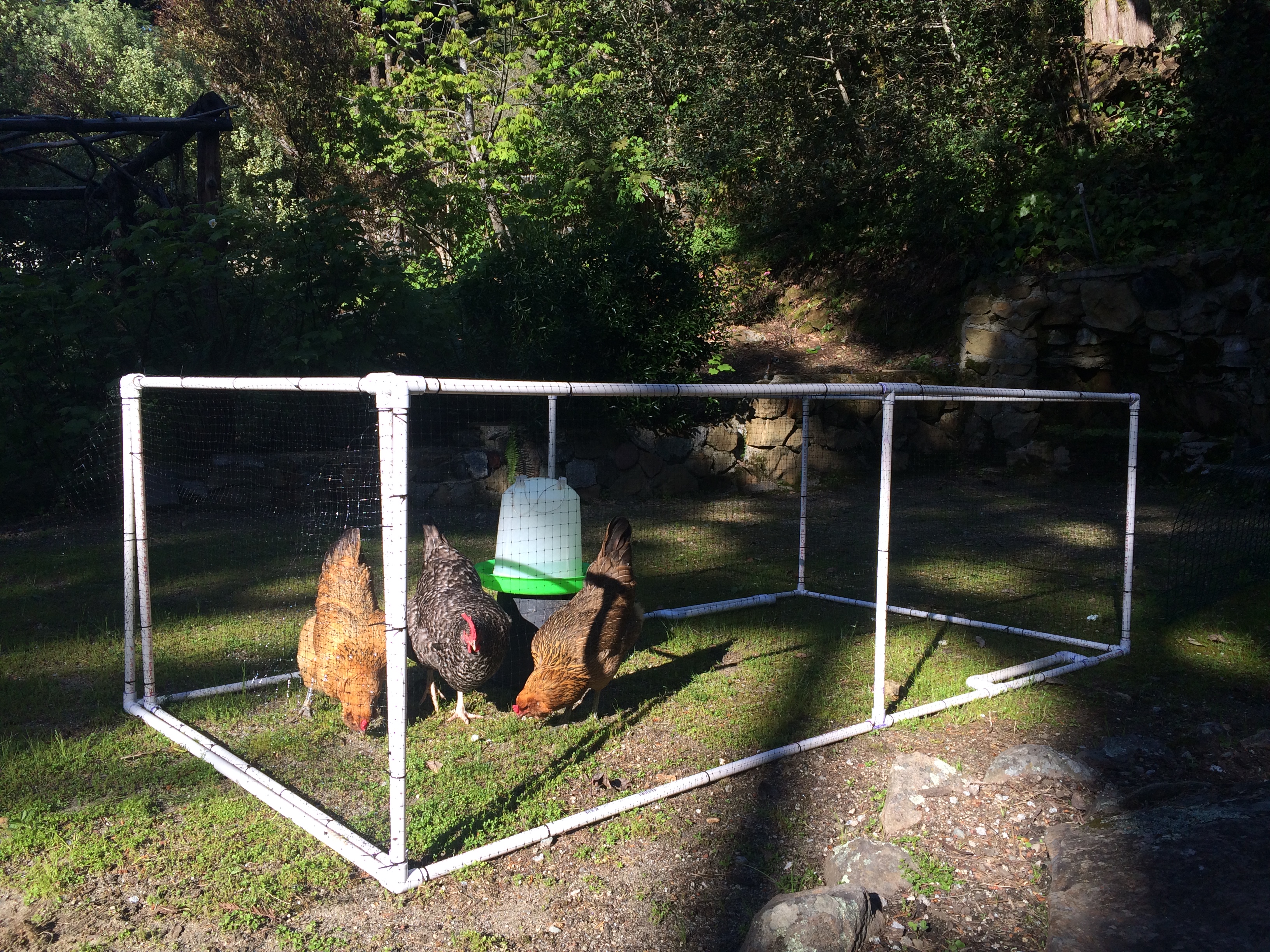 PVC with handles to move around yard. the lightweight bird netting in black works great with the Ladies.