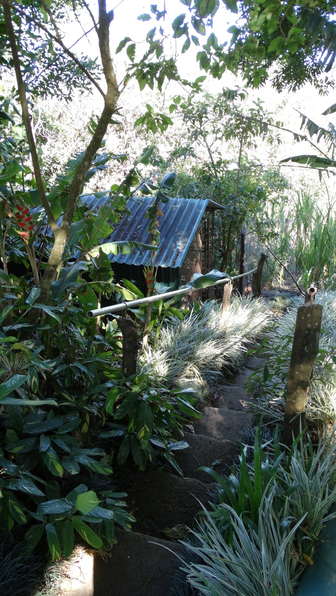 Quail Cage