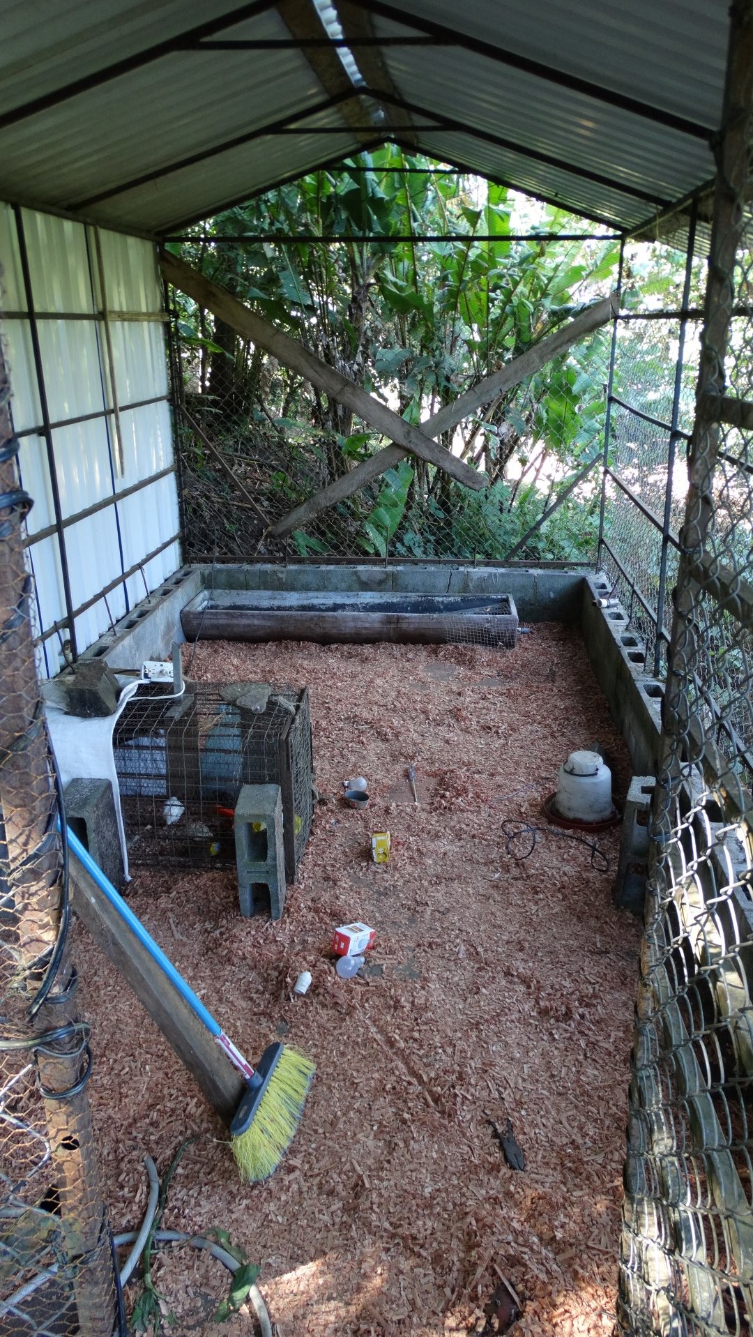 Quail Cage