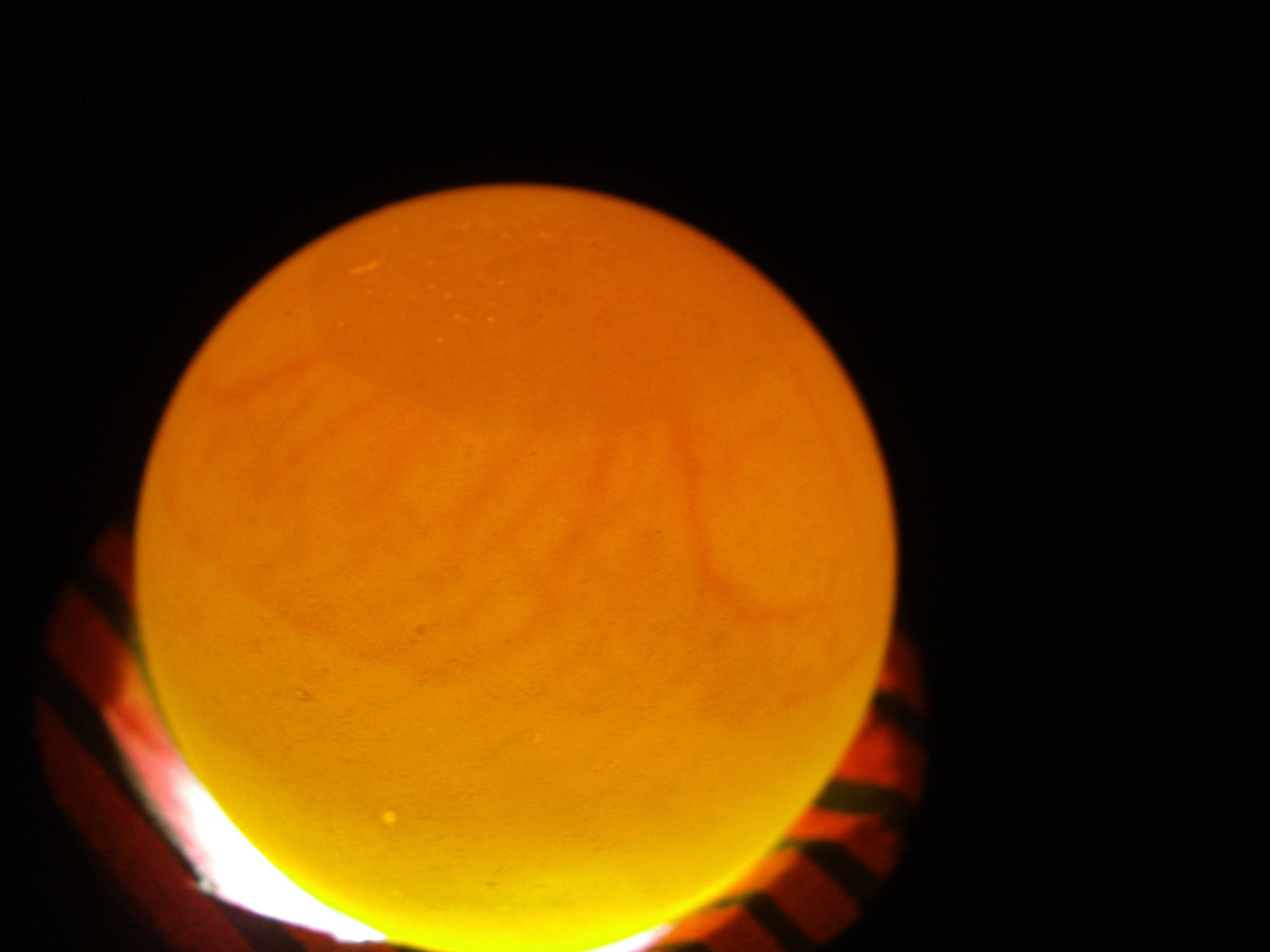 quail egg one week in incubator candling