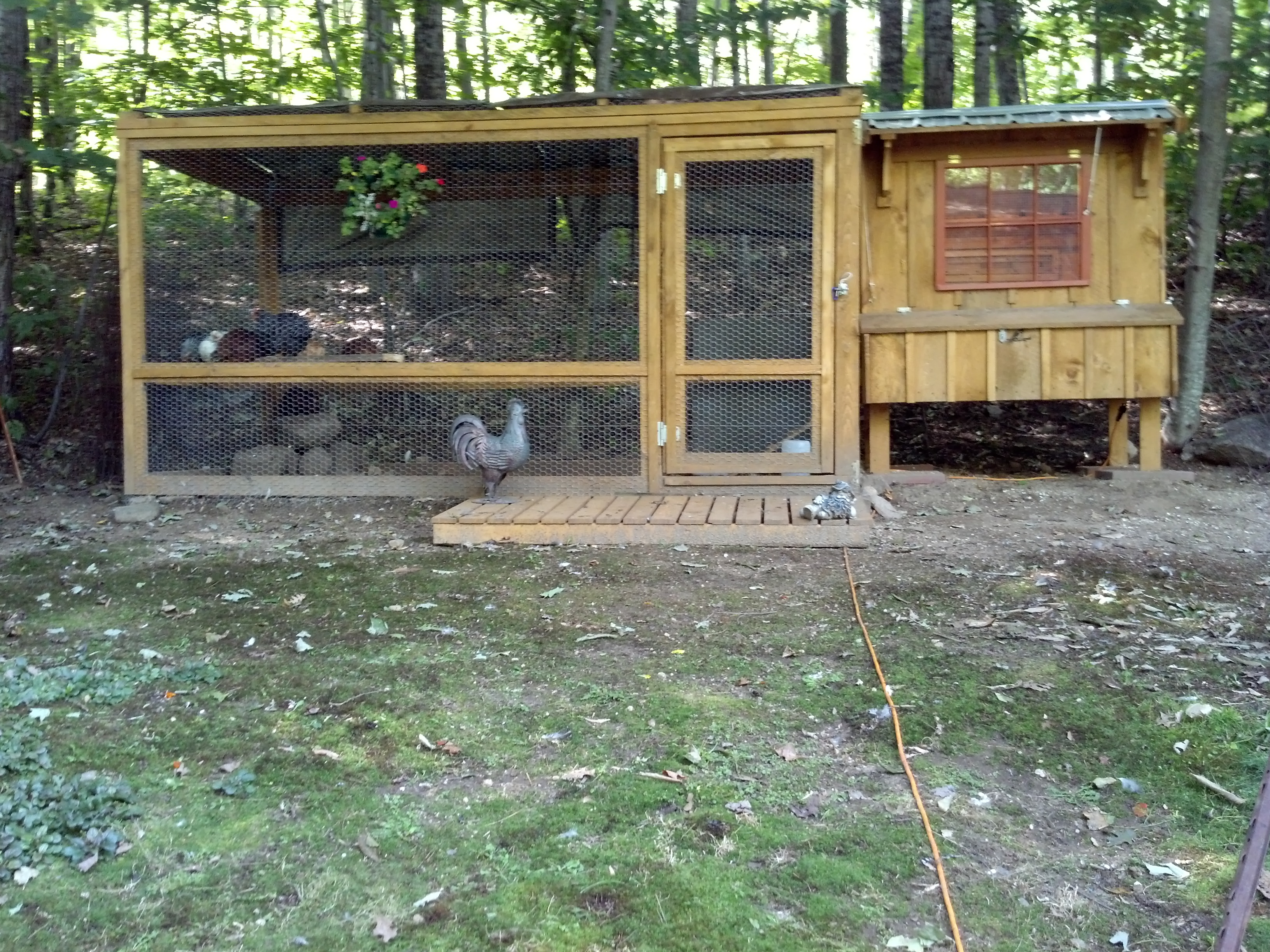 Quaker Clucker Coop