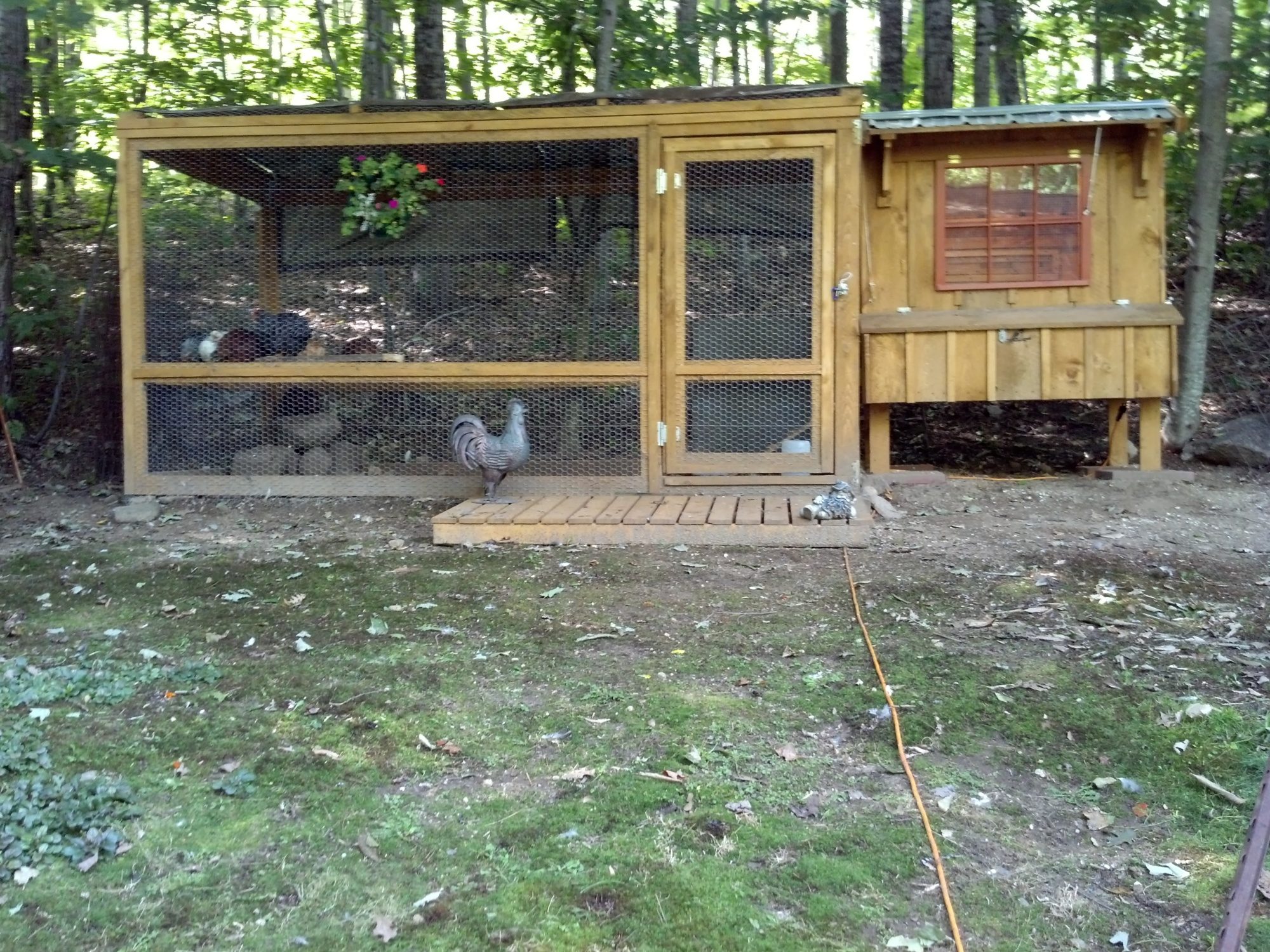 Quaker Cluckers Coop