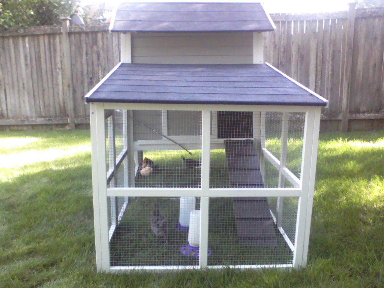 Question? Should I take out the grass under the coop?