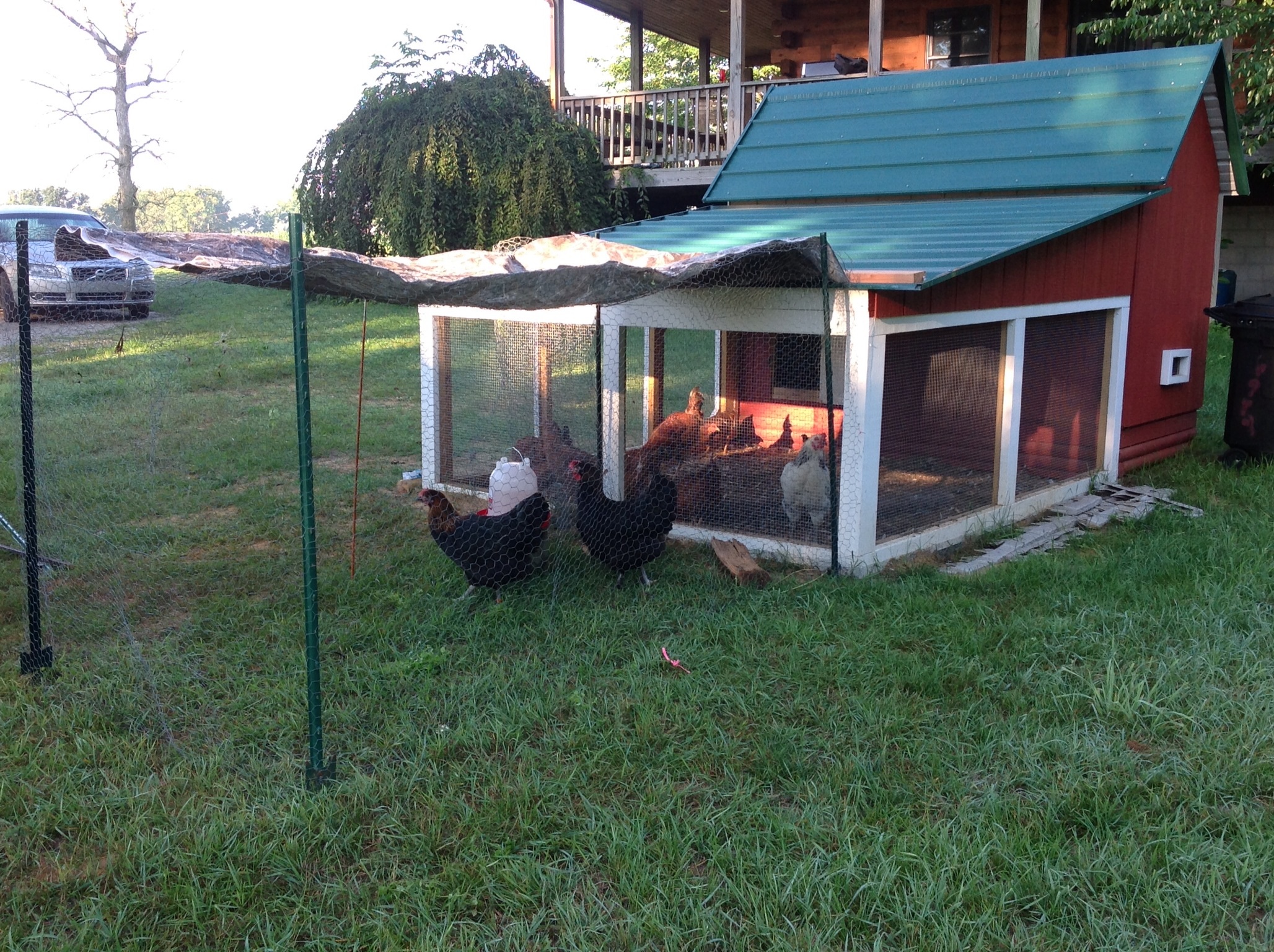 Quick set up for several day separated intro of Maia & Lela to current flock