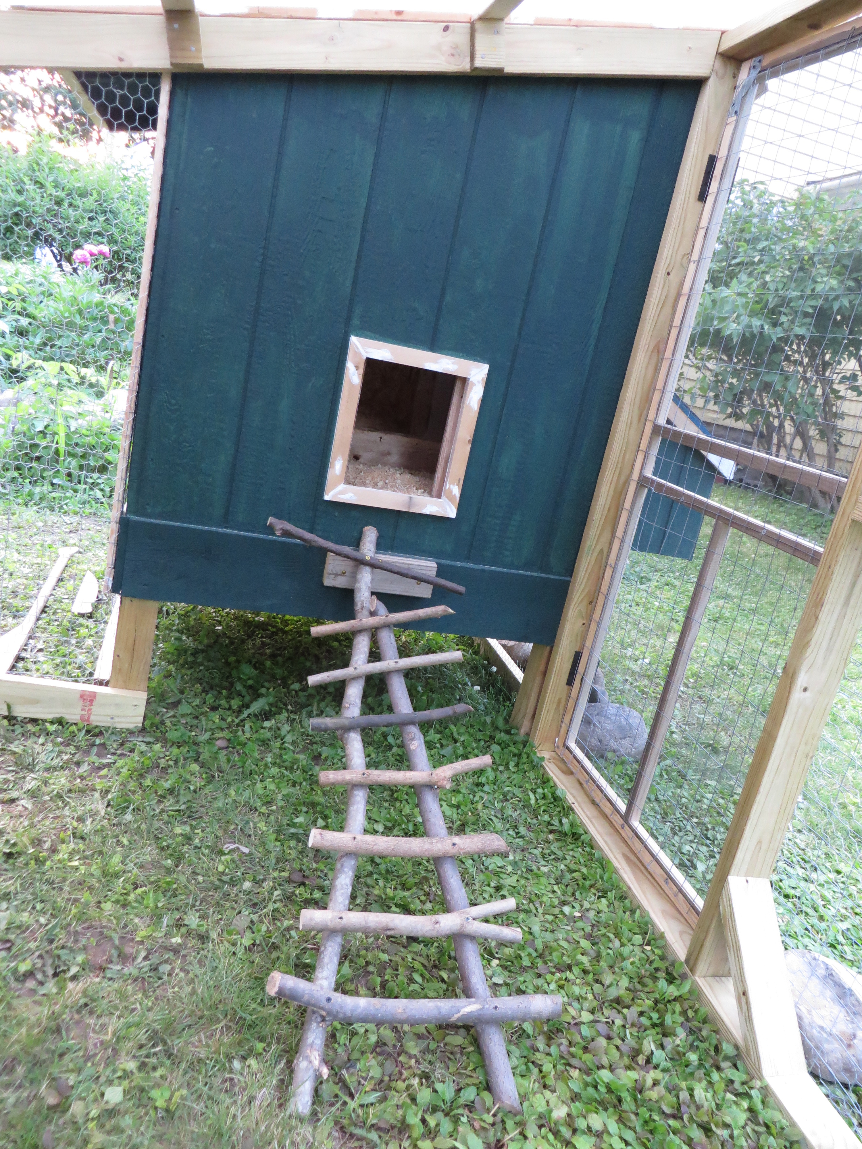 Quirky chicken ladder. It's fun to watch them come down this in the morning and they also like to roost on it.