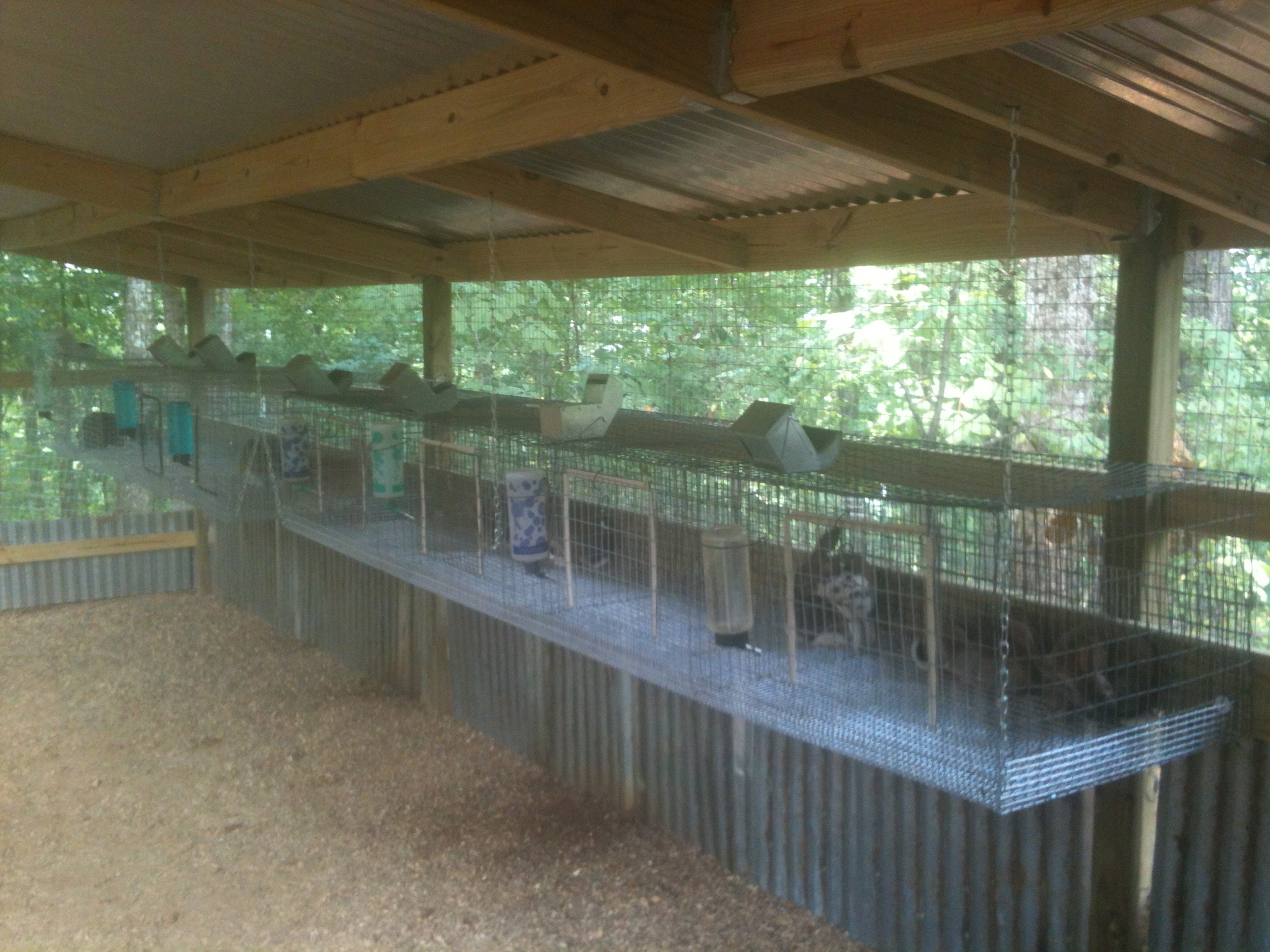 rabbit cages