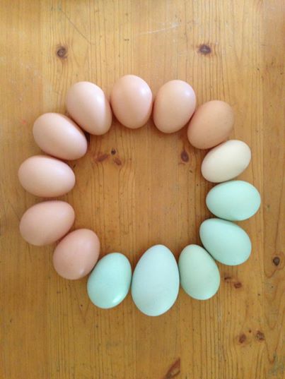 Rainbow of deliciousness