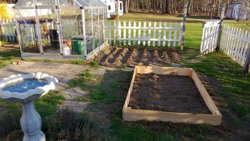 Raised bed, corn rows, bird bath and greenhouse :)