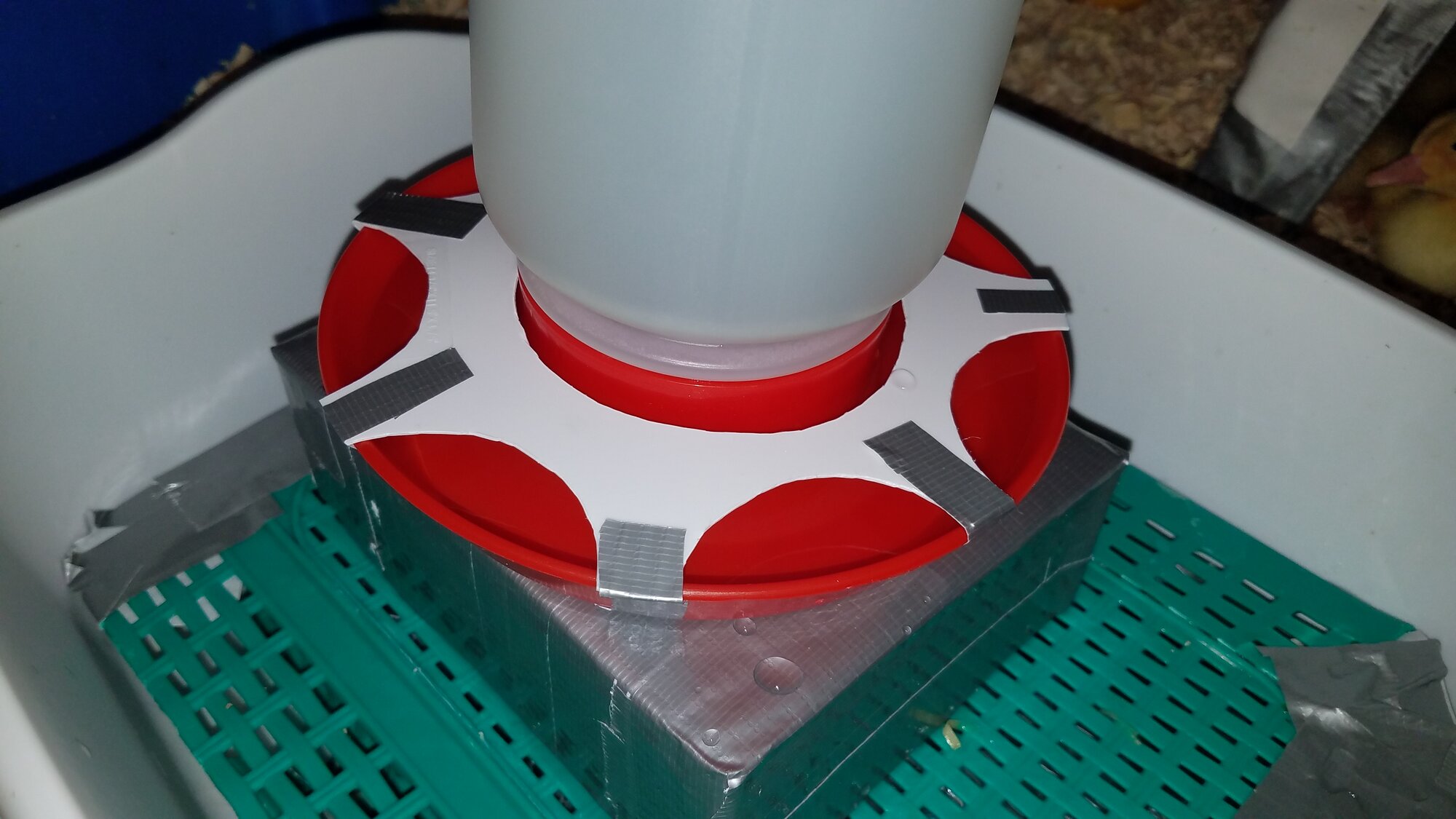 Raised waterer with limited access