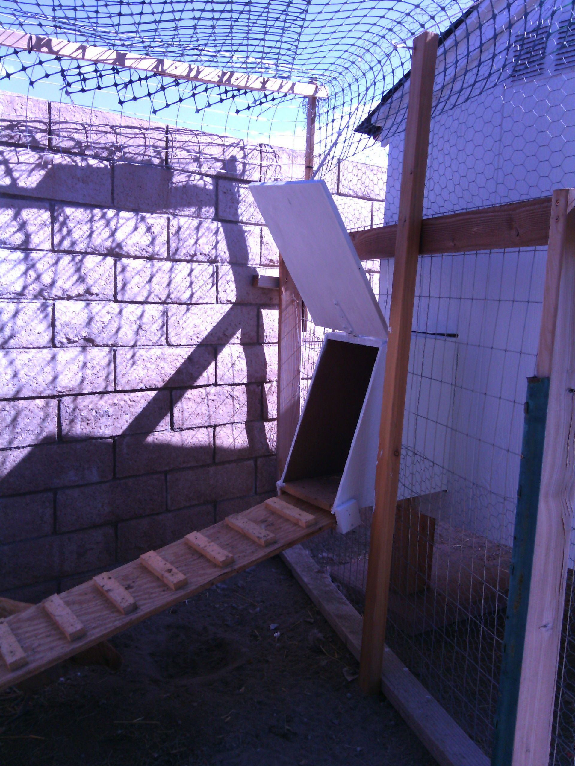 ramp and back door for the girls