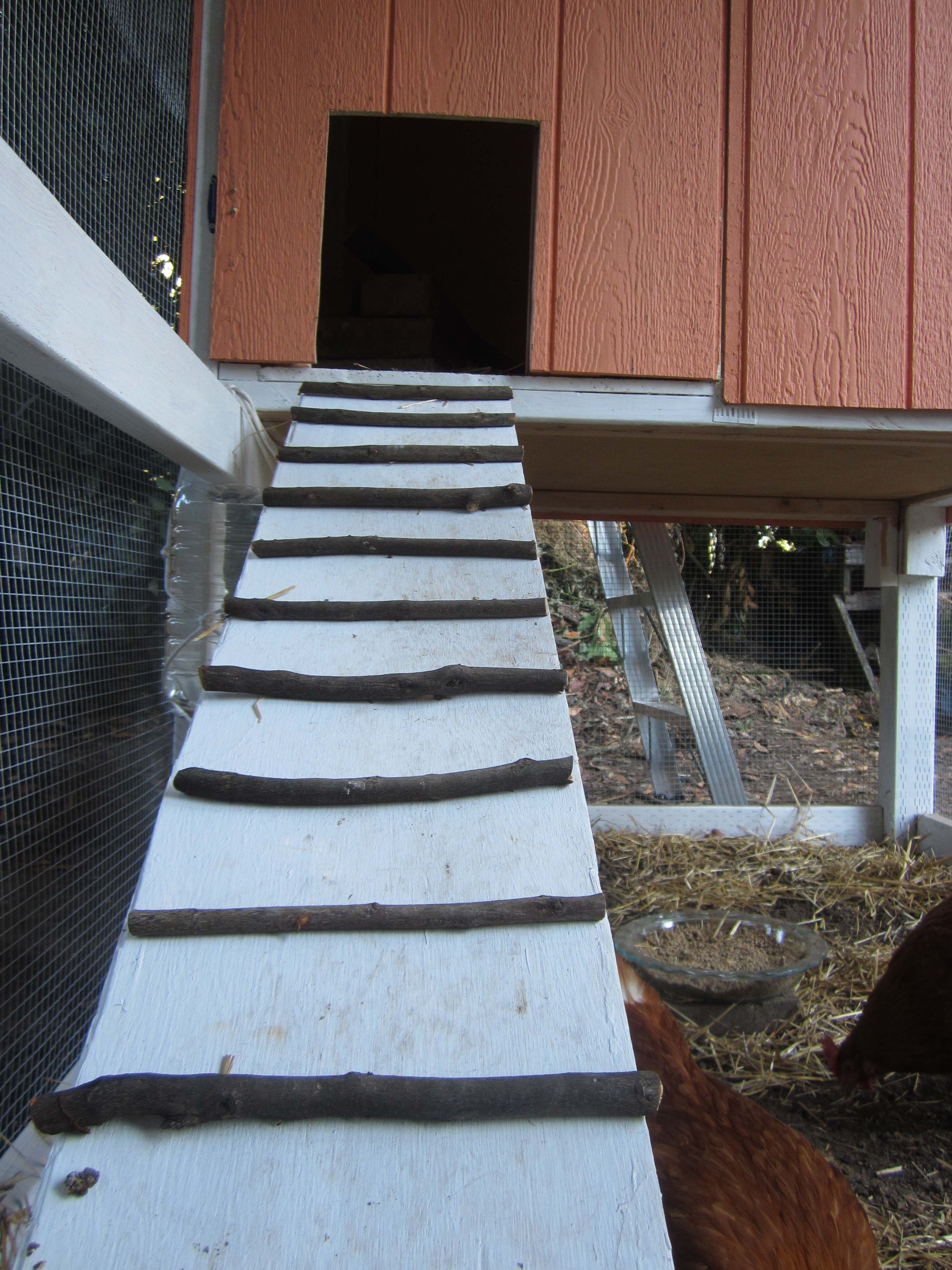 Ramp to the roost