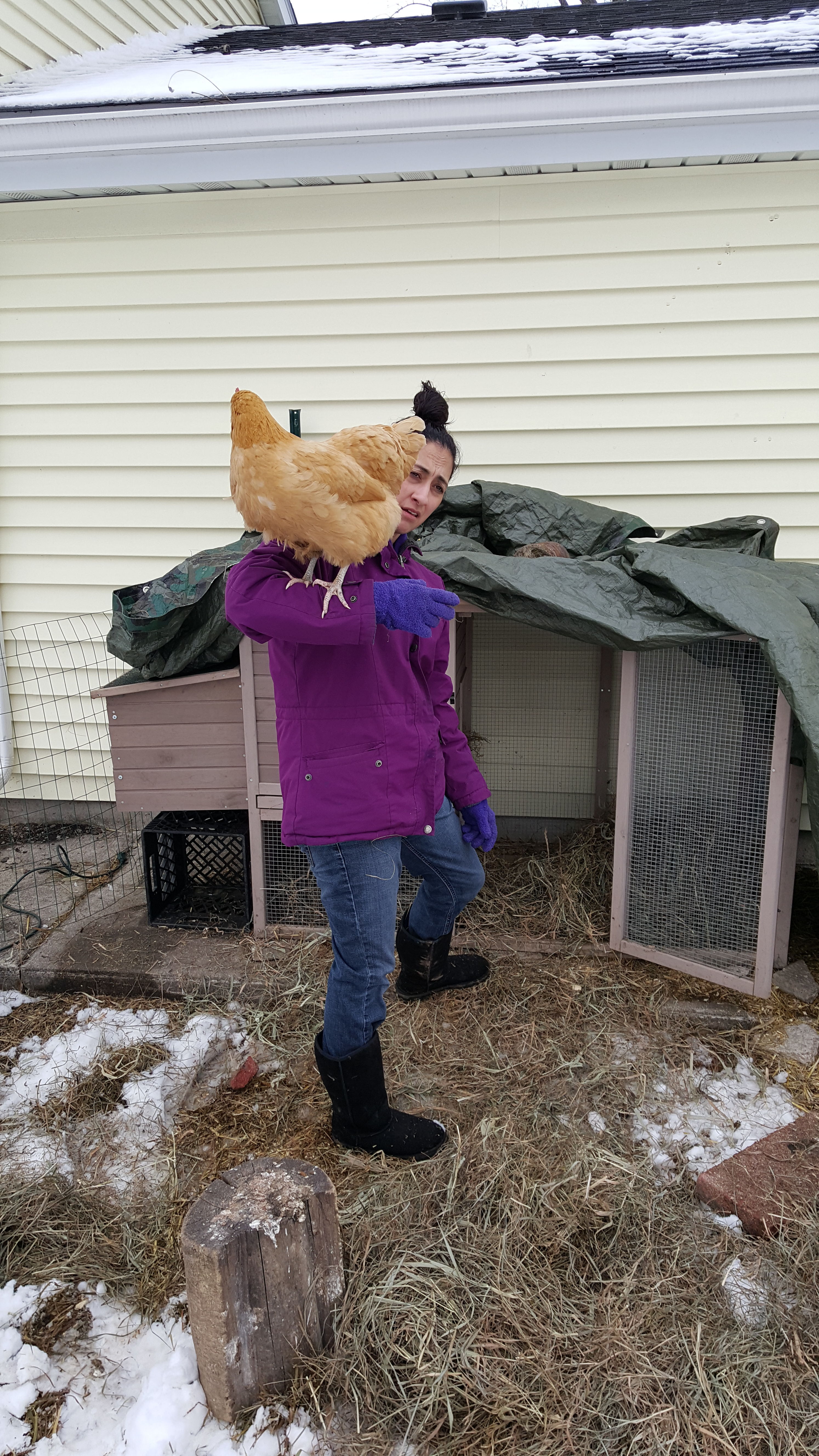 Rapunzel getting a better view