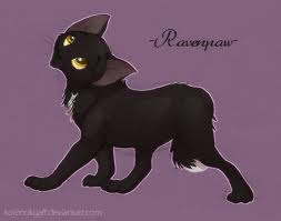 Ravenpaw from Warriors
