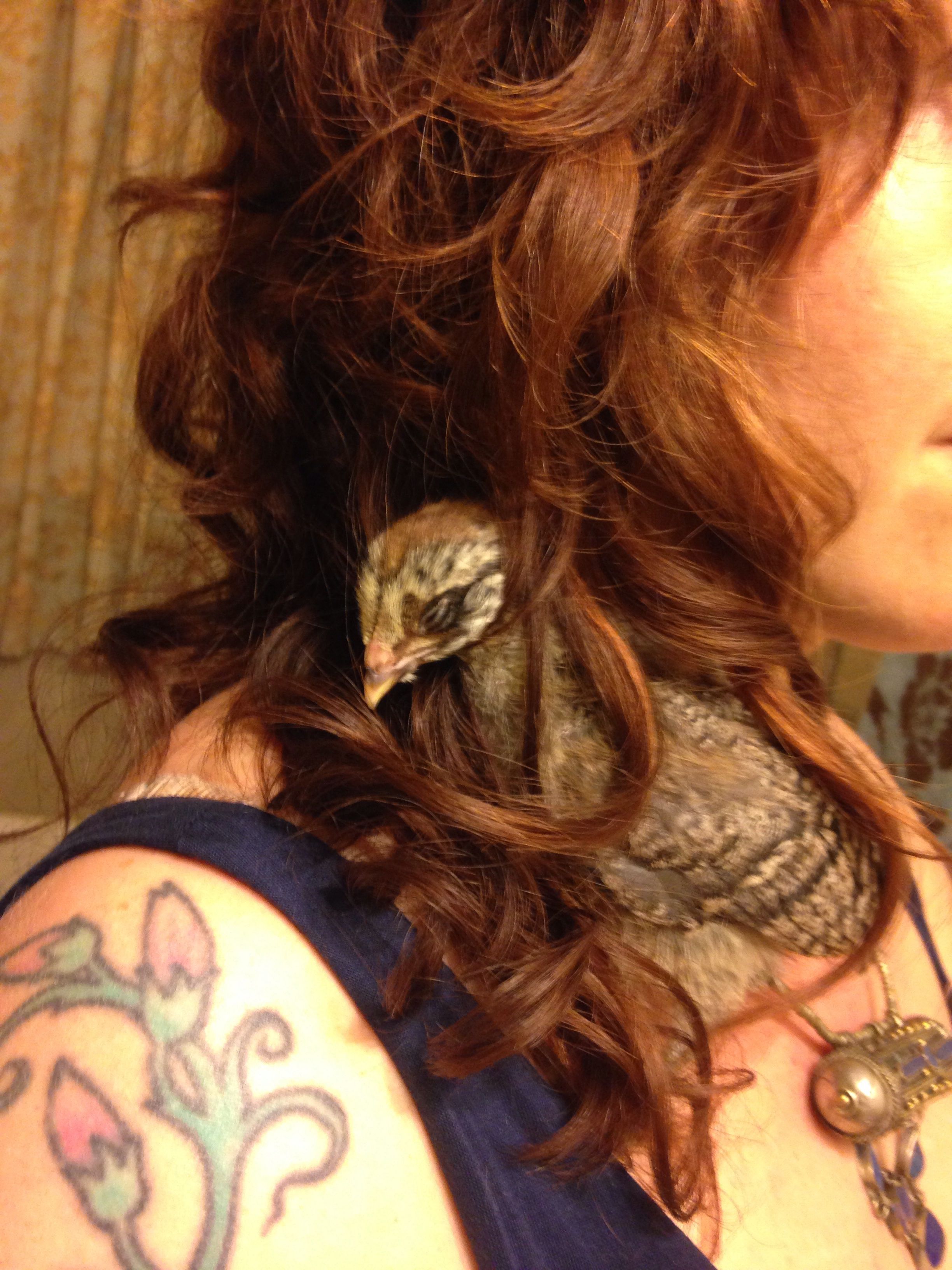 Raz loves hiding in my hair!