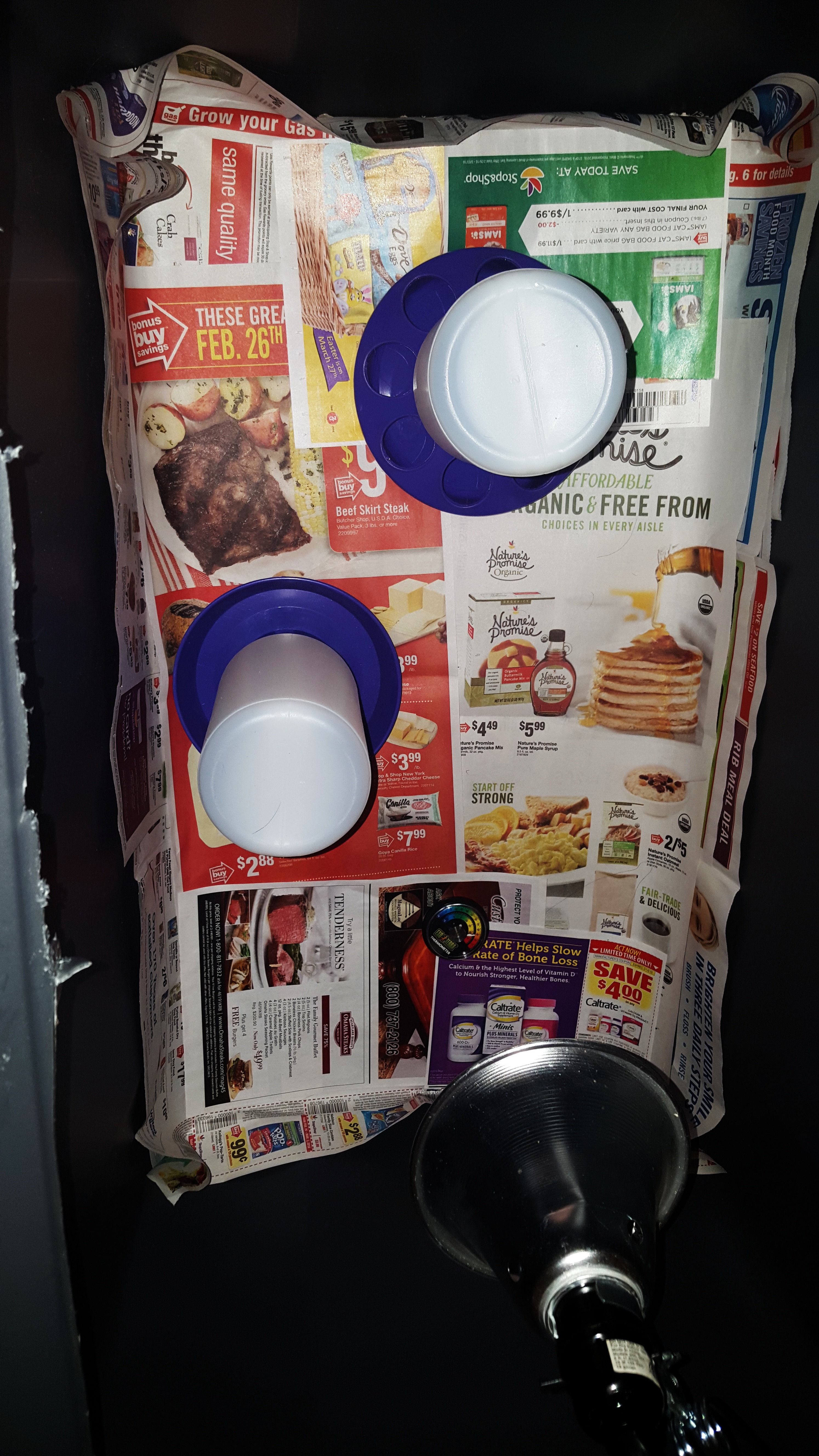 ready for baby chicks