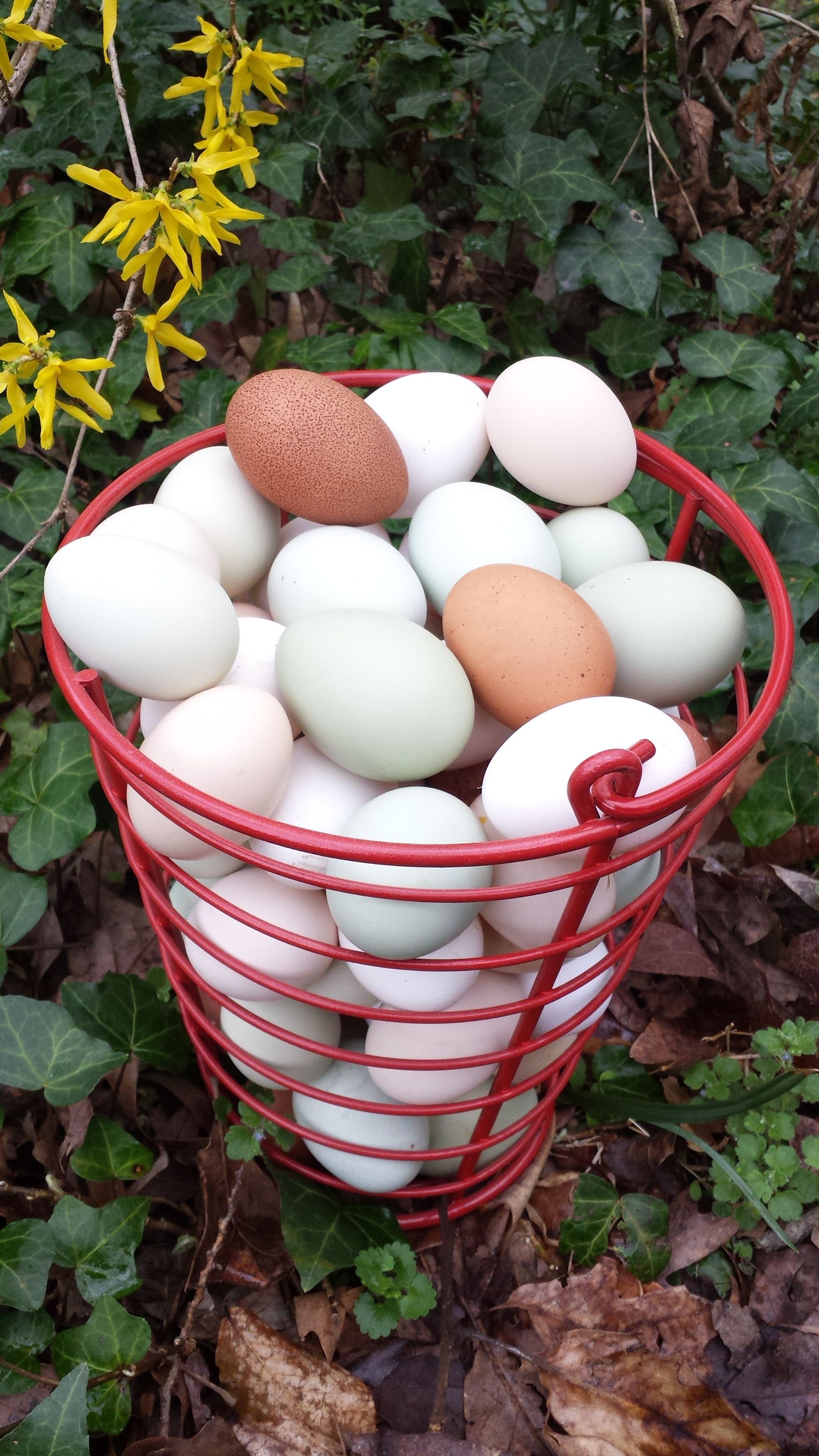 Ready for Easter