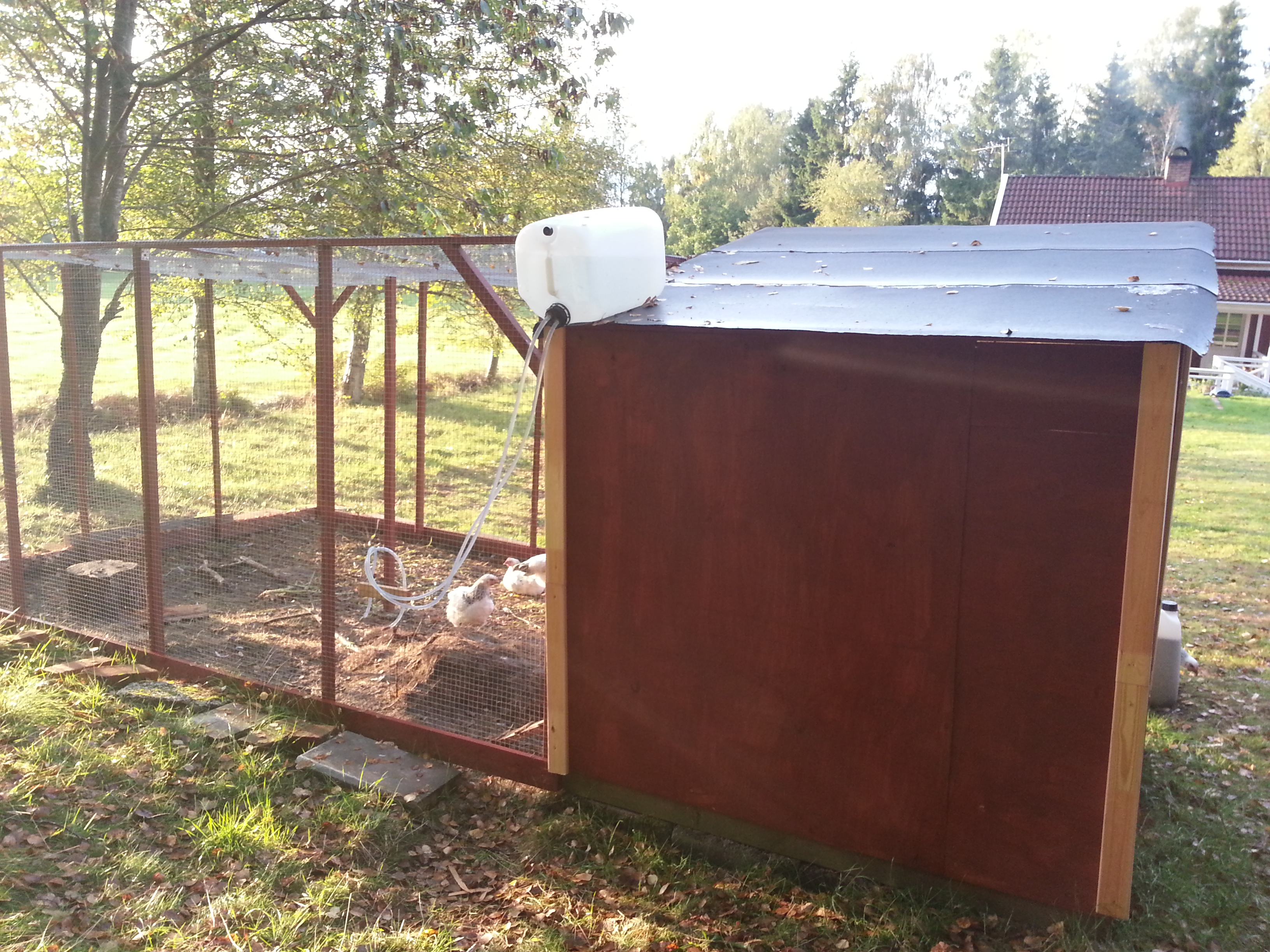 Rear of coop with 20l water dispenser, two hoses go to one nipple each.