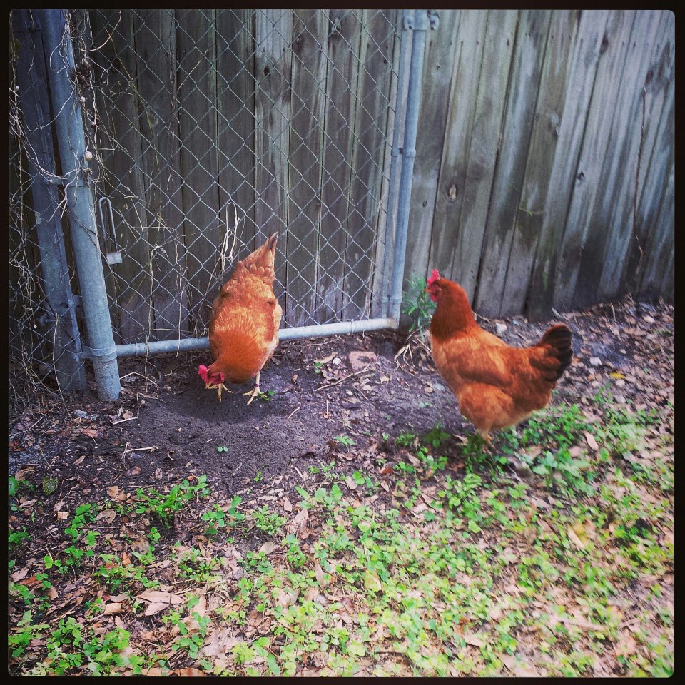 Reba and Barbara Jean