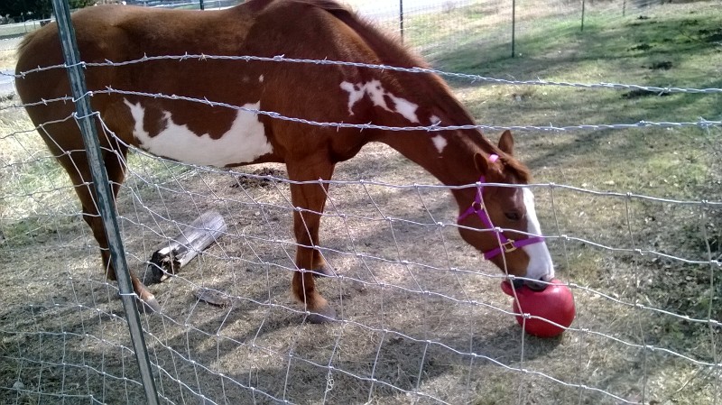 Reba having fun