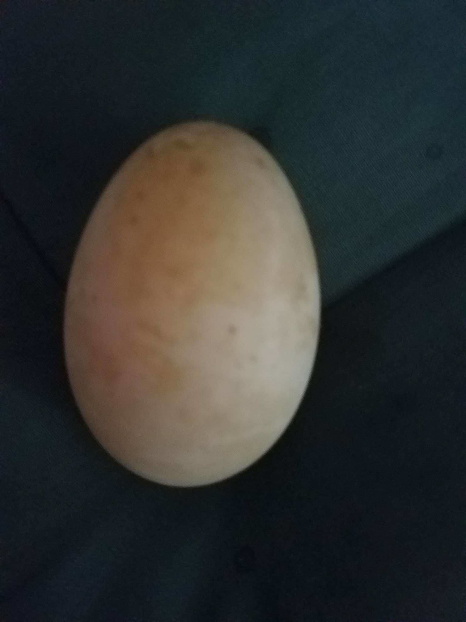 Received_1531243356982669