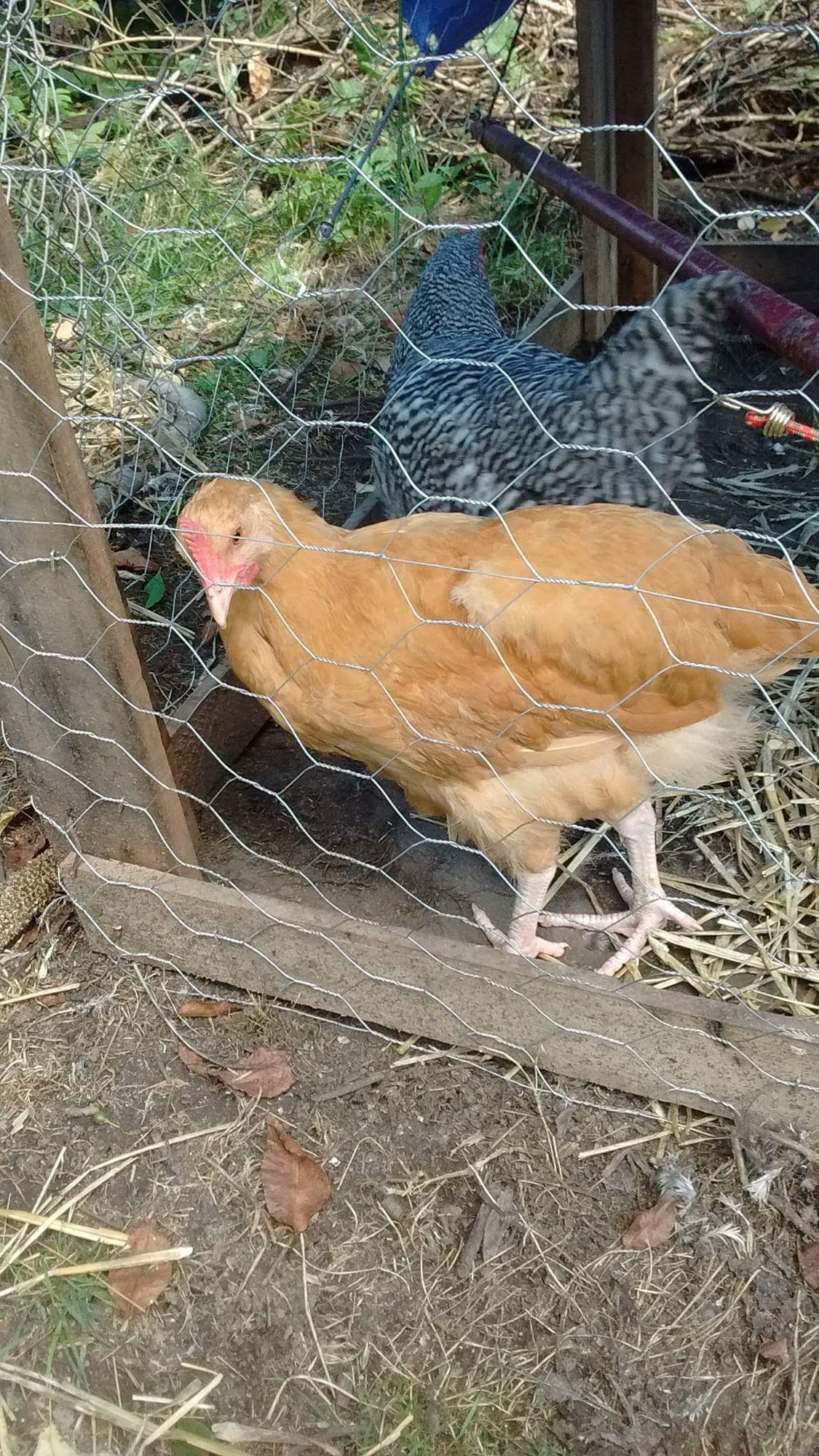 Received_229440194242513