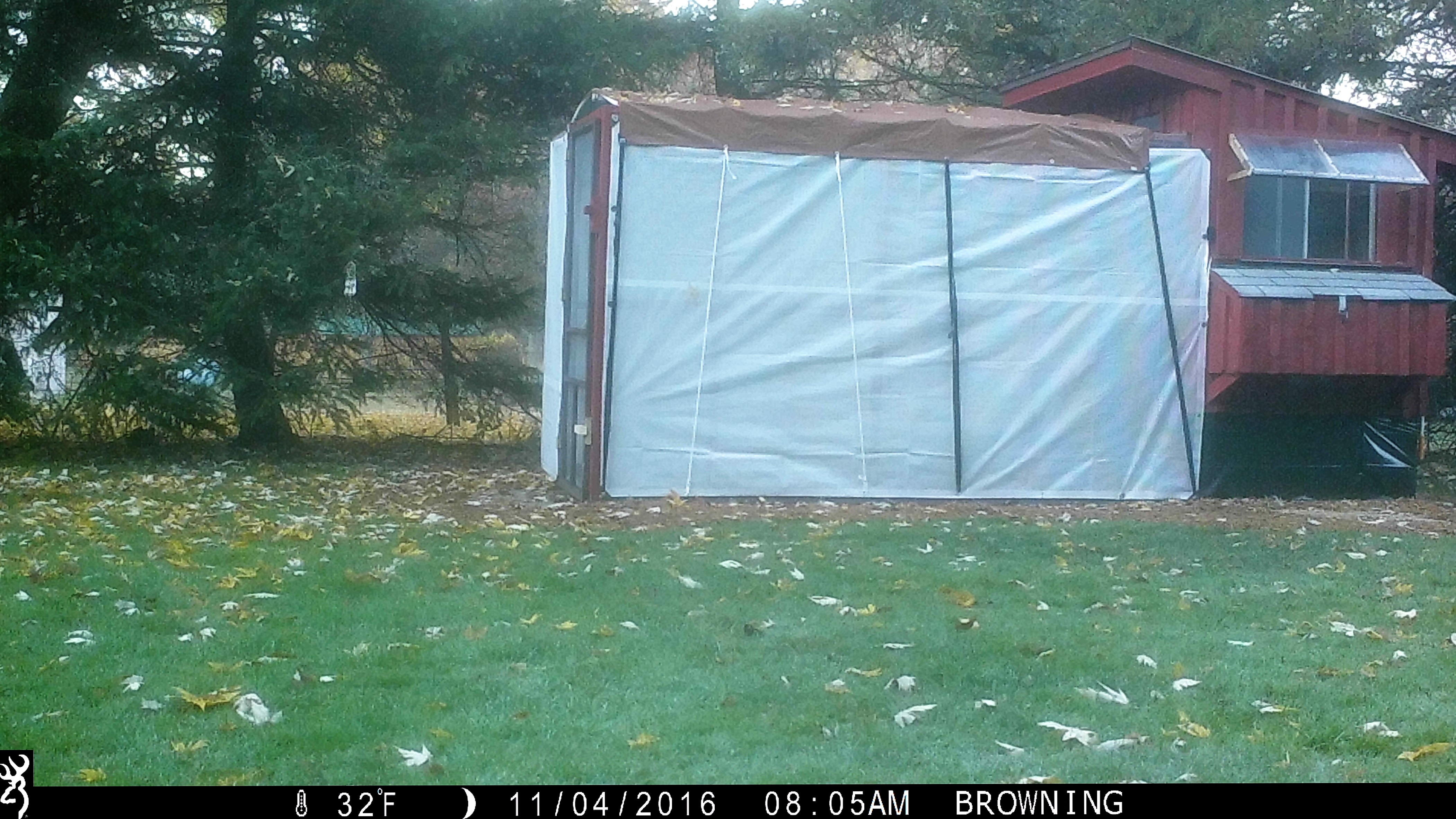 recently added awning over the side window above nesting box, to keep the rain from coming in the coop