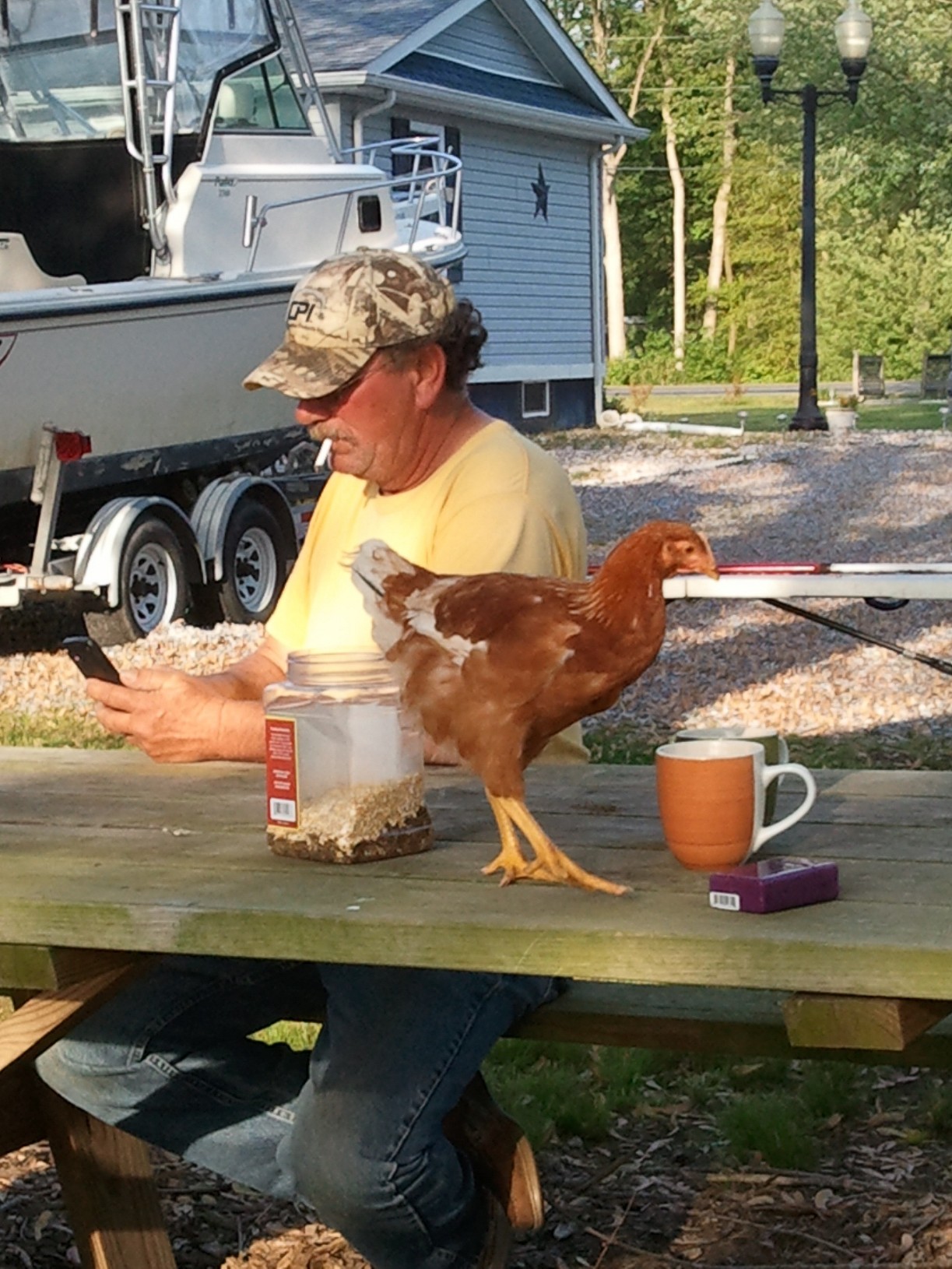 Red wants some coffee too !