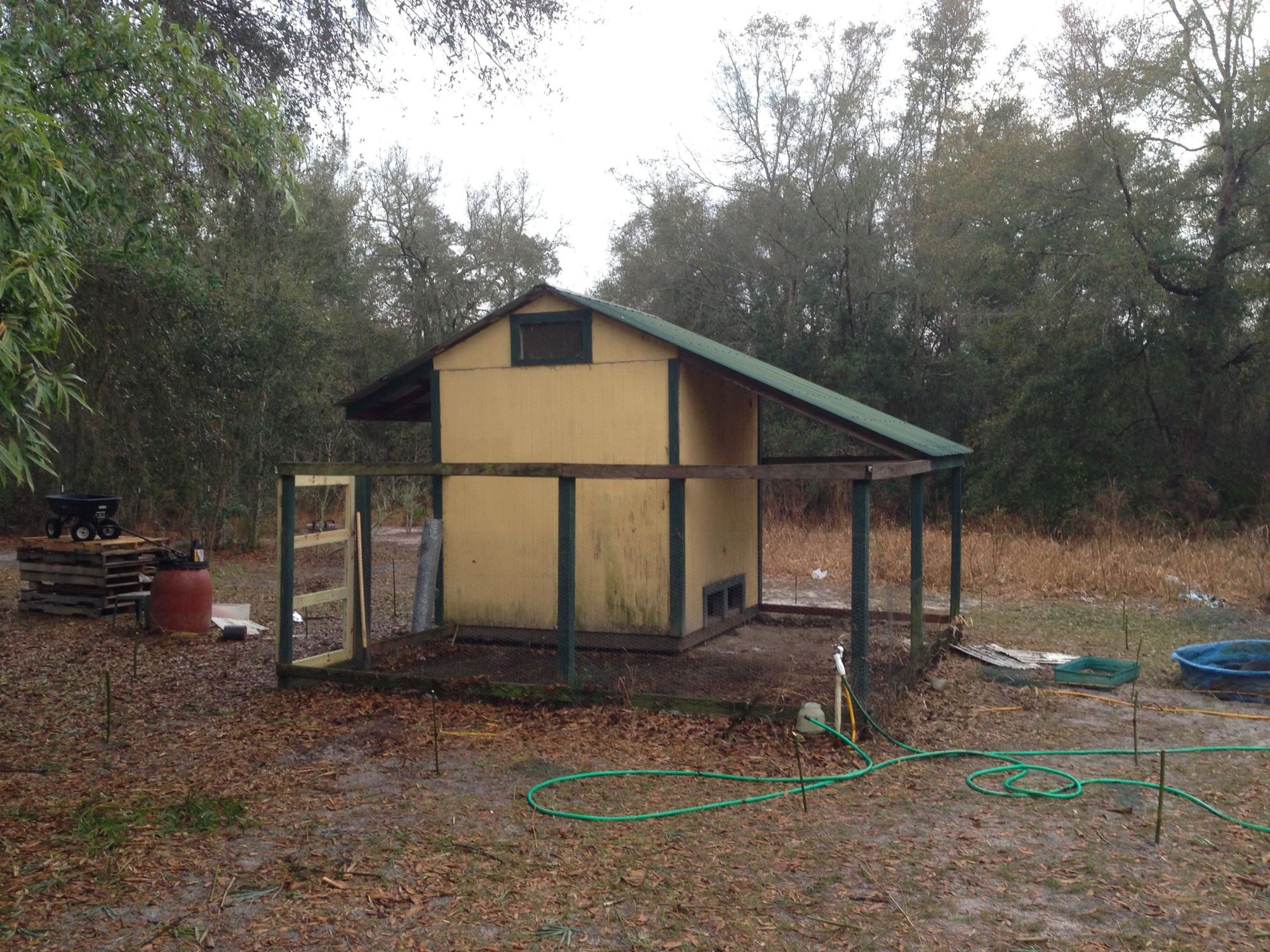 Referb'ing an existing coop.  It was well built to start with and only needed new fencing and a new gate.