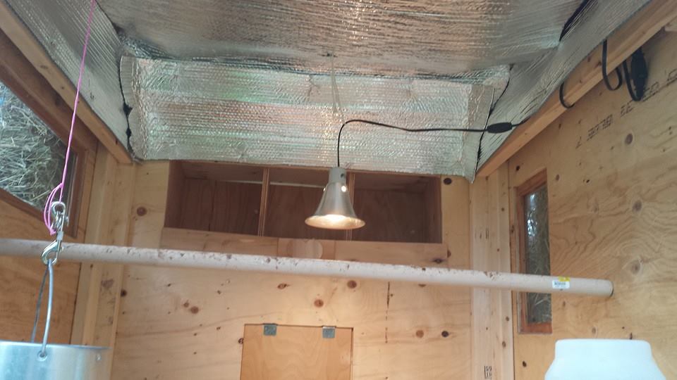 Reflective Insulation to help keep the heat inside the coop BackYard