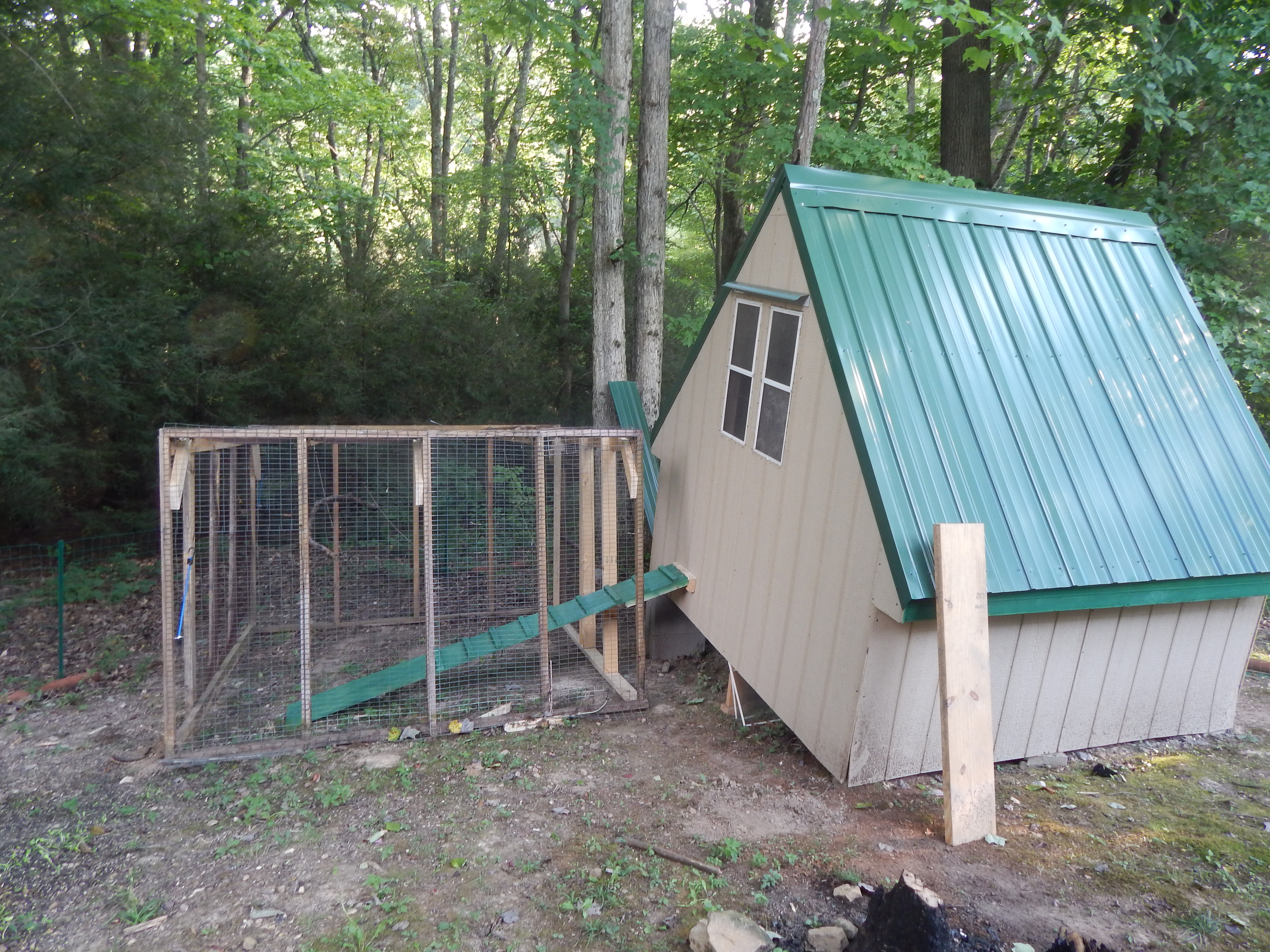 Reinforced the old run. Try to save a buck. The girls don't care they just want out of that coop!