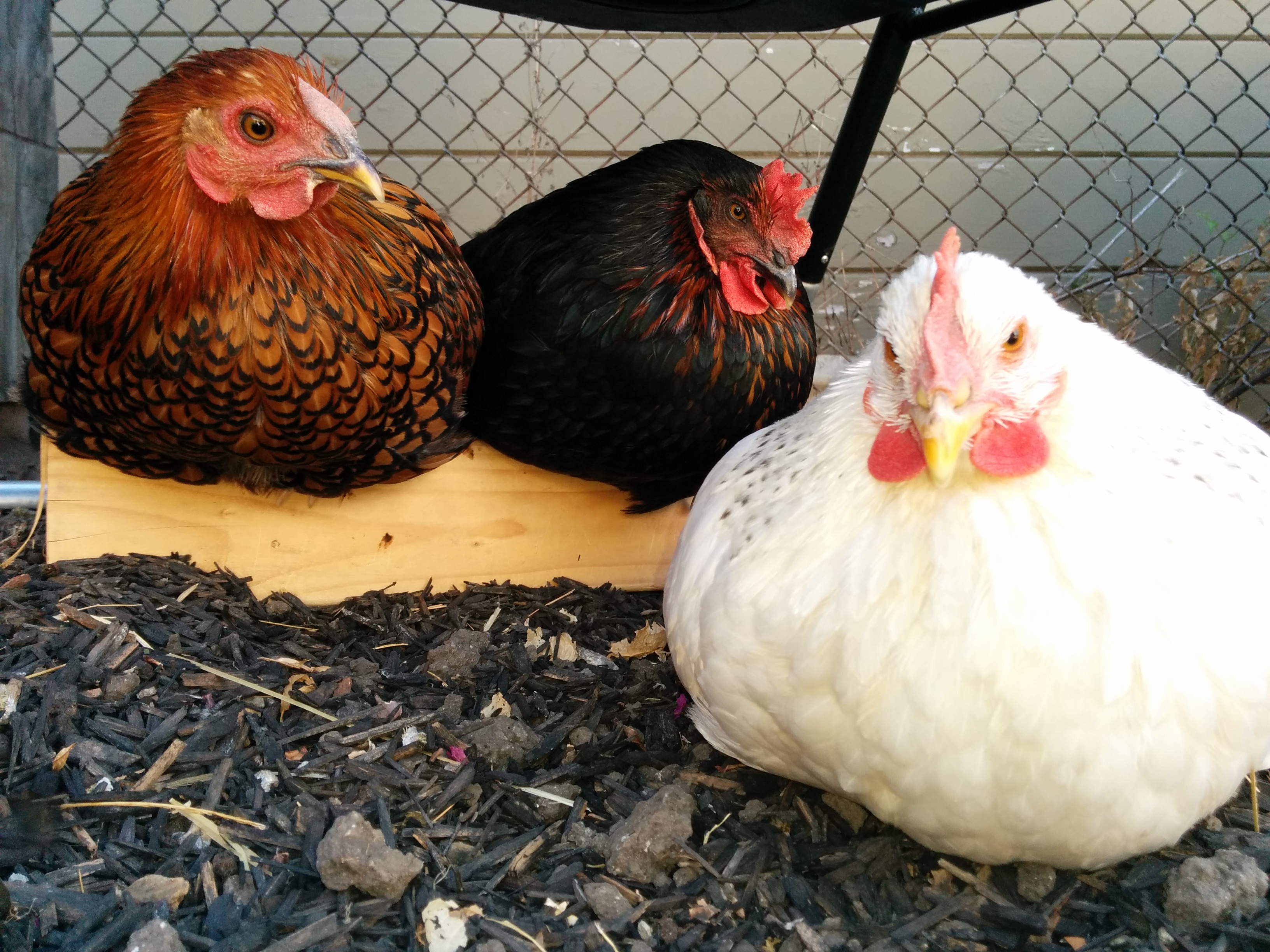 Relaxing underneath the composter.