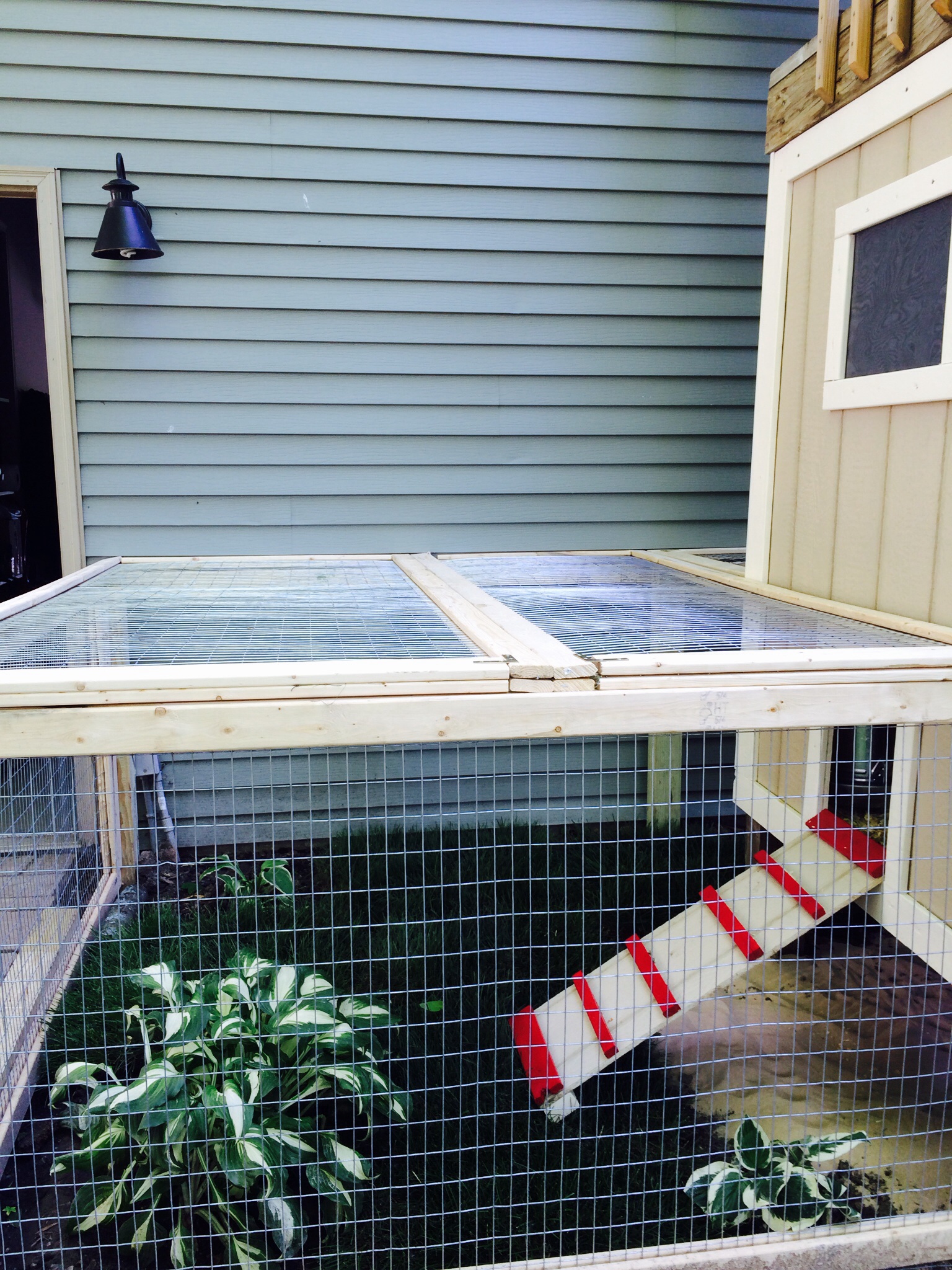 Removable fencing for coop cleaning.  Total enclosure allows for hen safety.