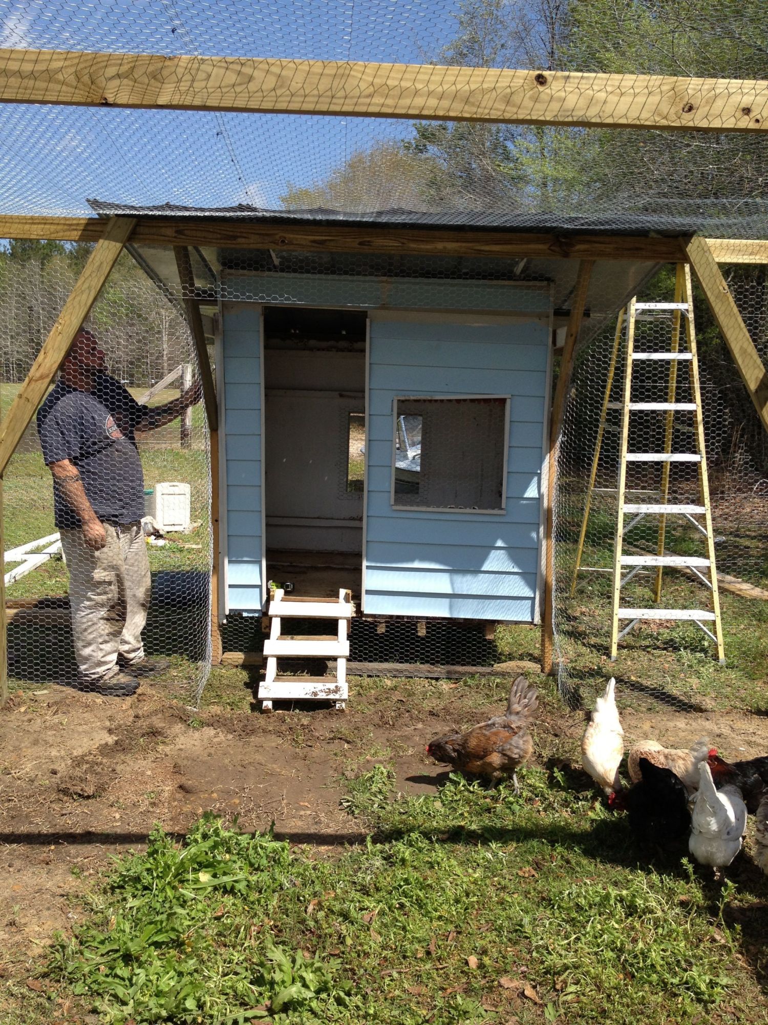 Repurposed an old playhouse into my new coop! :D still have to build a roost and nesting boxes, but my chickens love it.