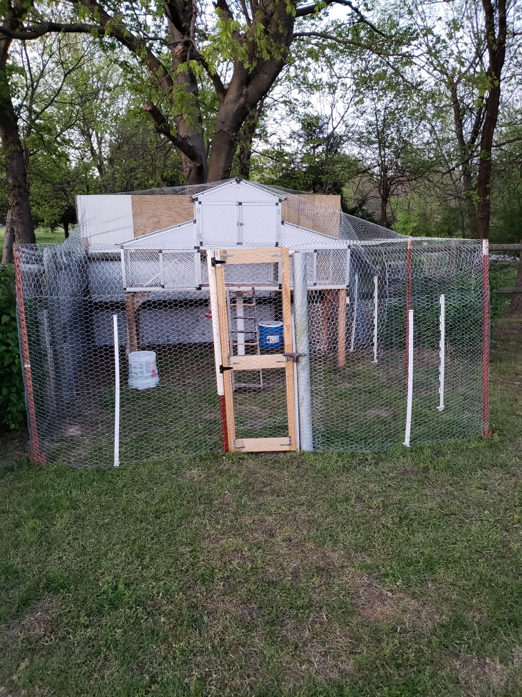 Resized_20200416_200636.jpeg