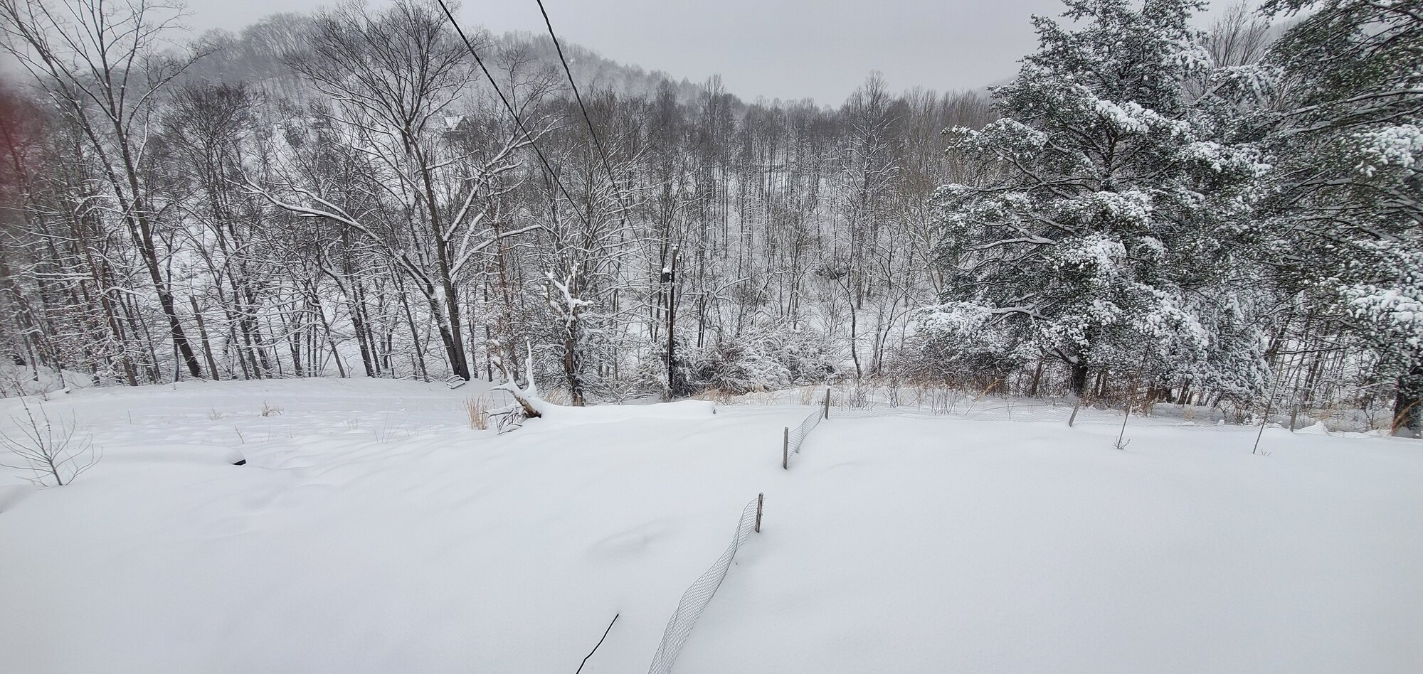 Result of Winterstorm Quinn