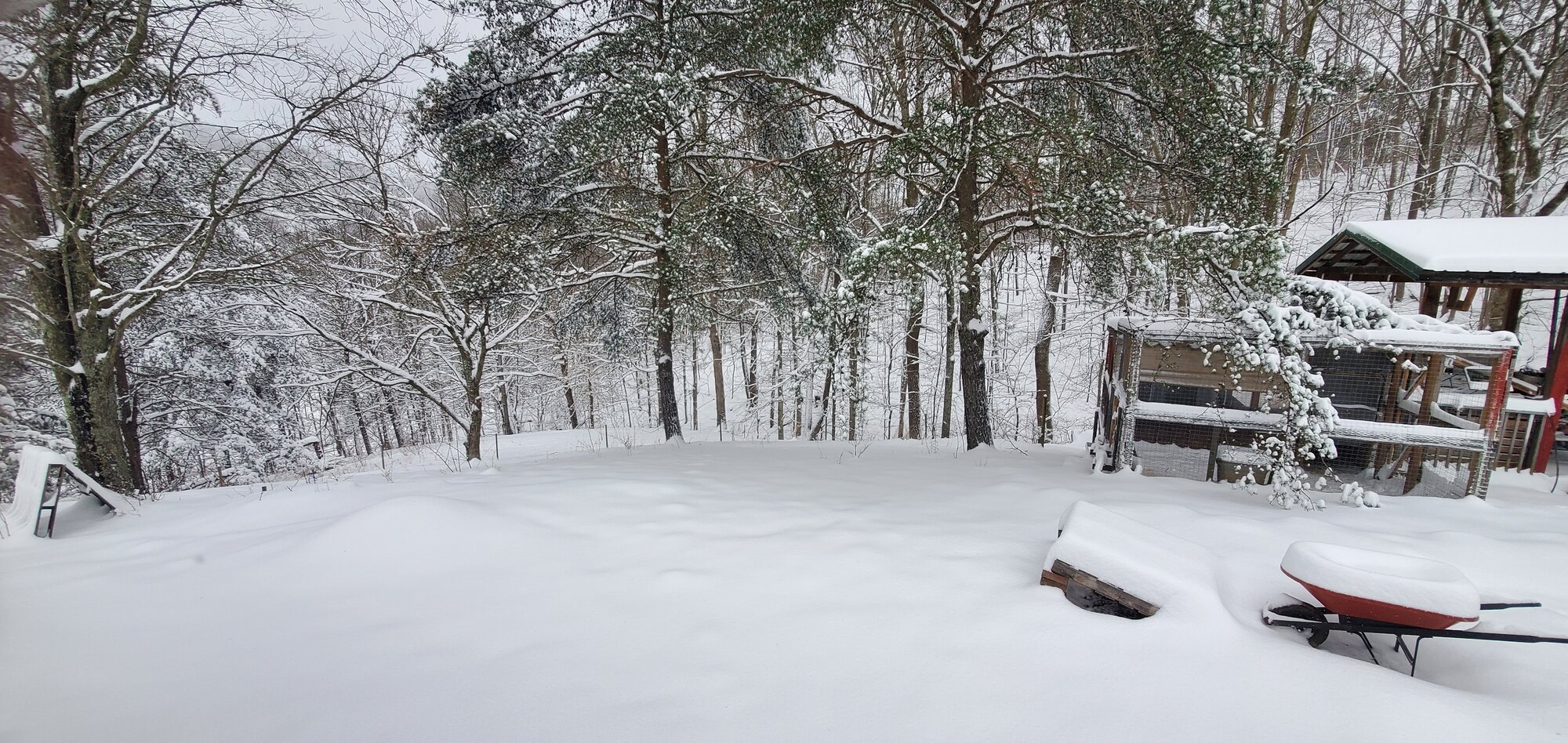 Result of Winterstorm Quinn