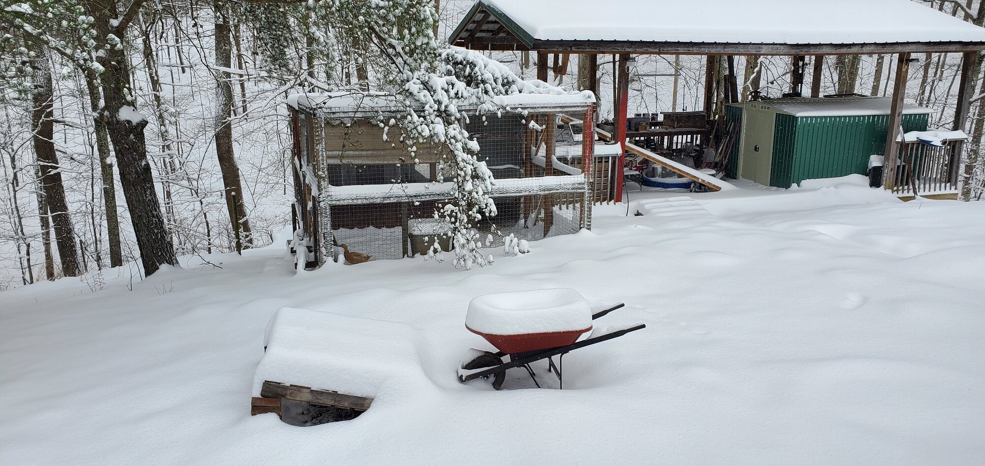 Result of Winterstorm Quinn