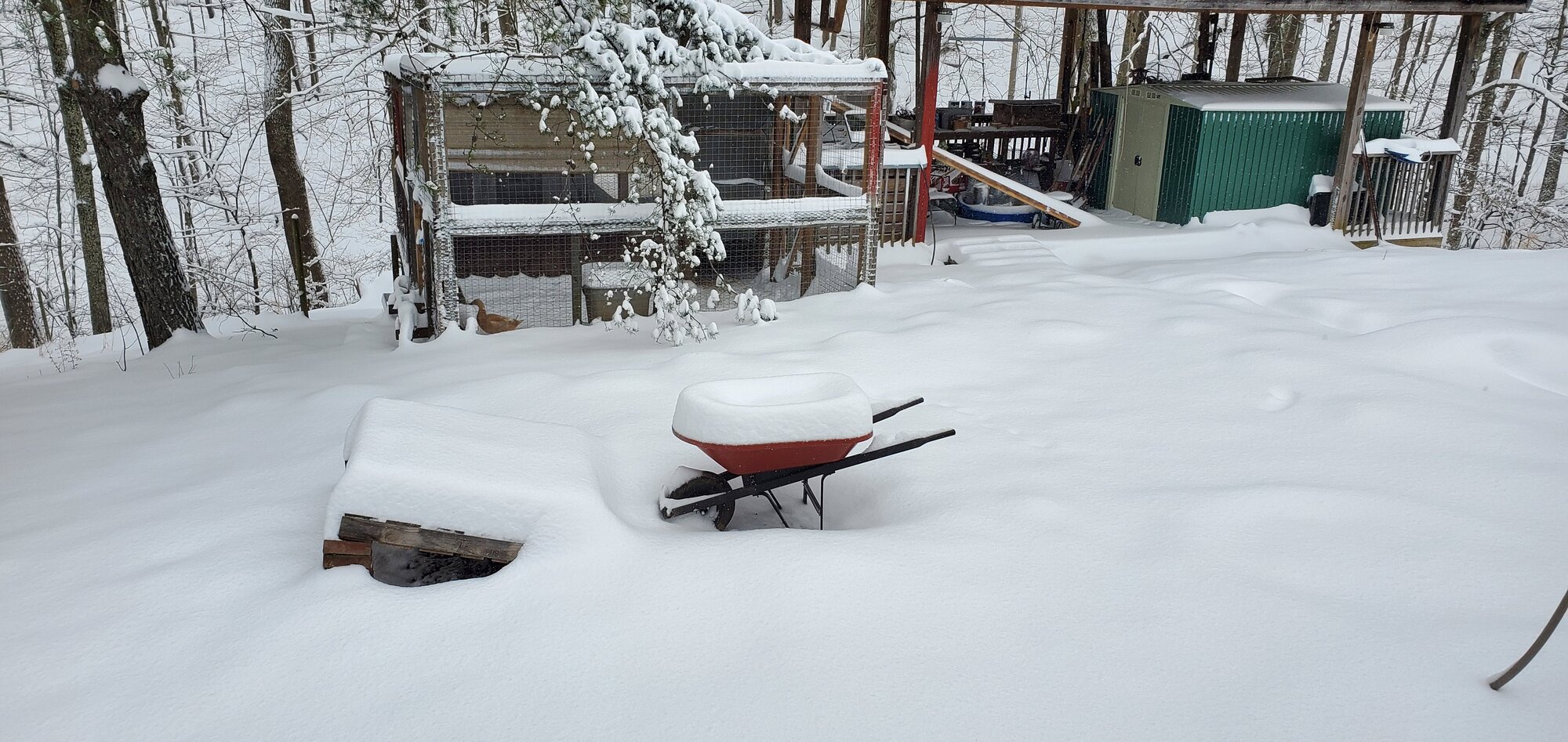 Result of Winterstorm Quinn