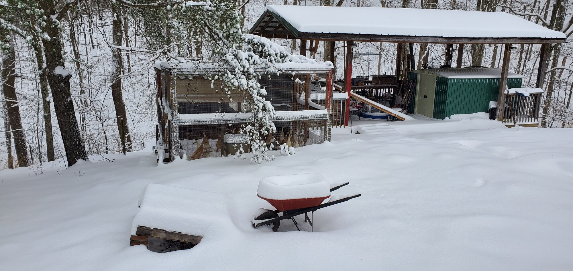 Result of Winterstorm Quinn