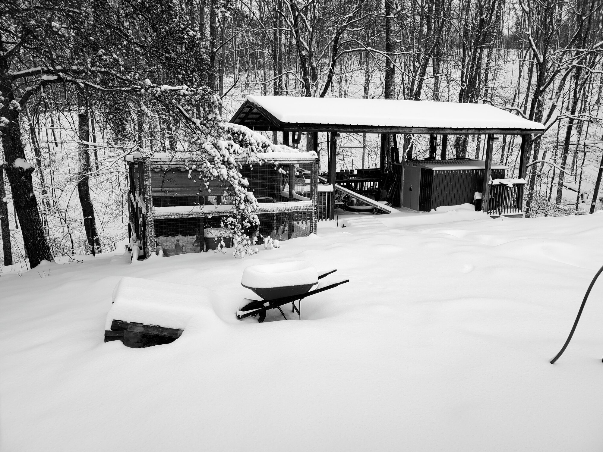 Result of Winterstorm Quinn