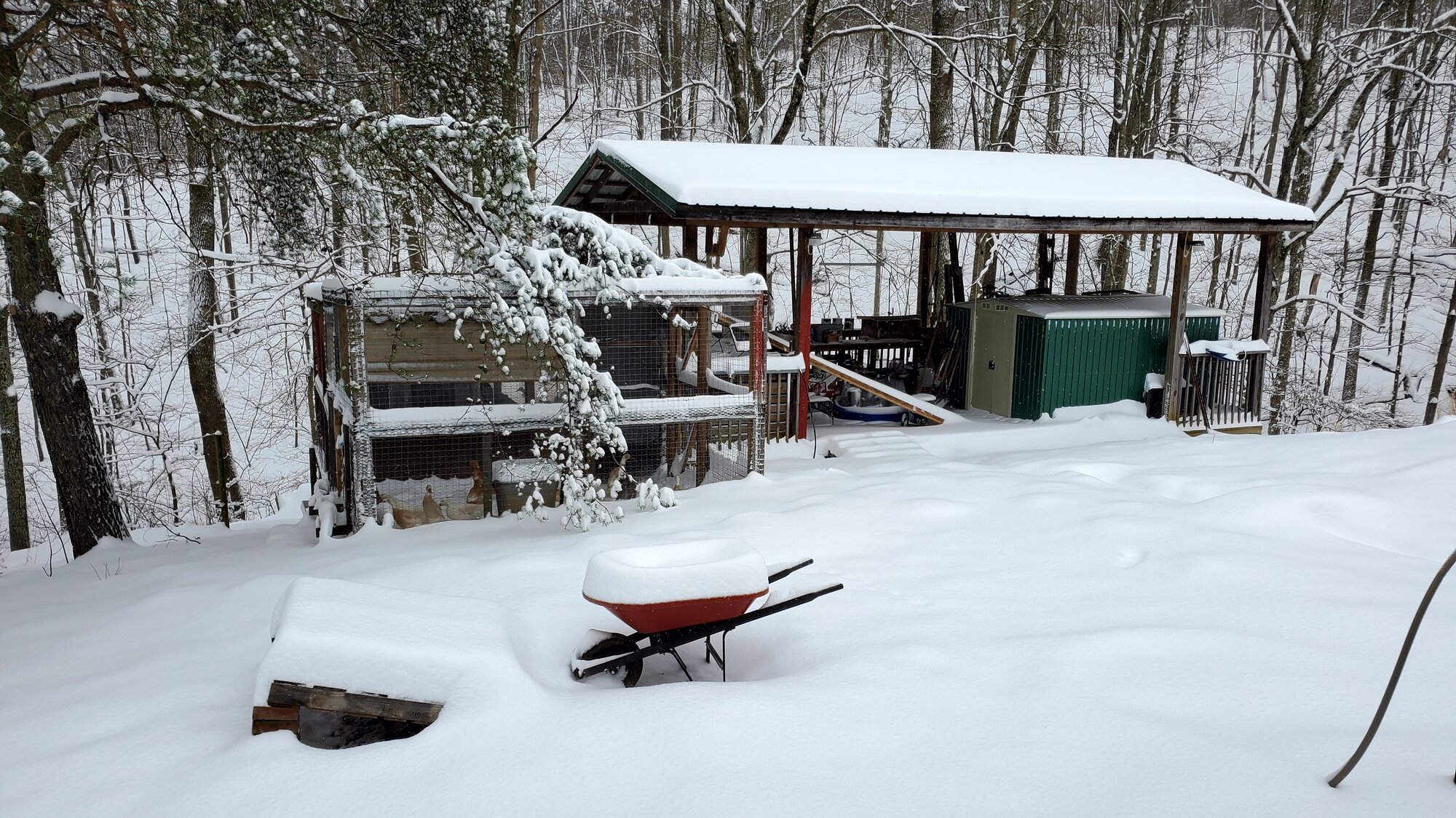 Result of Winterstorm Quinn