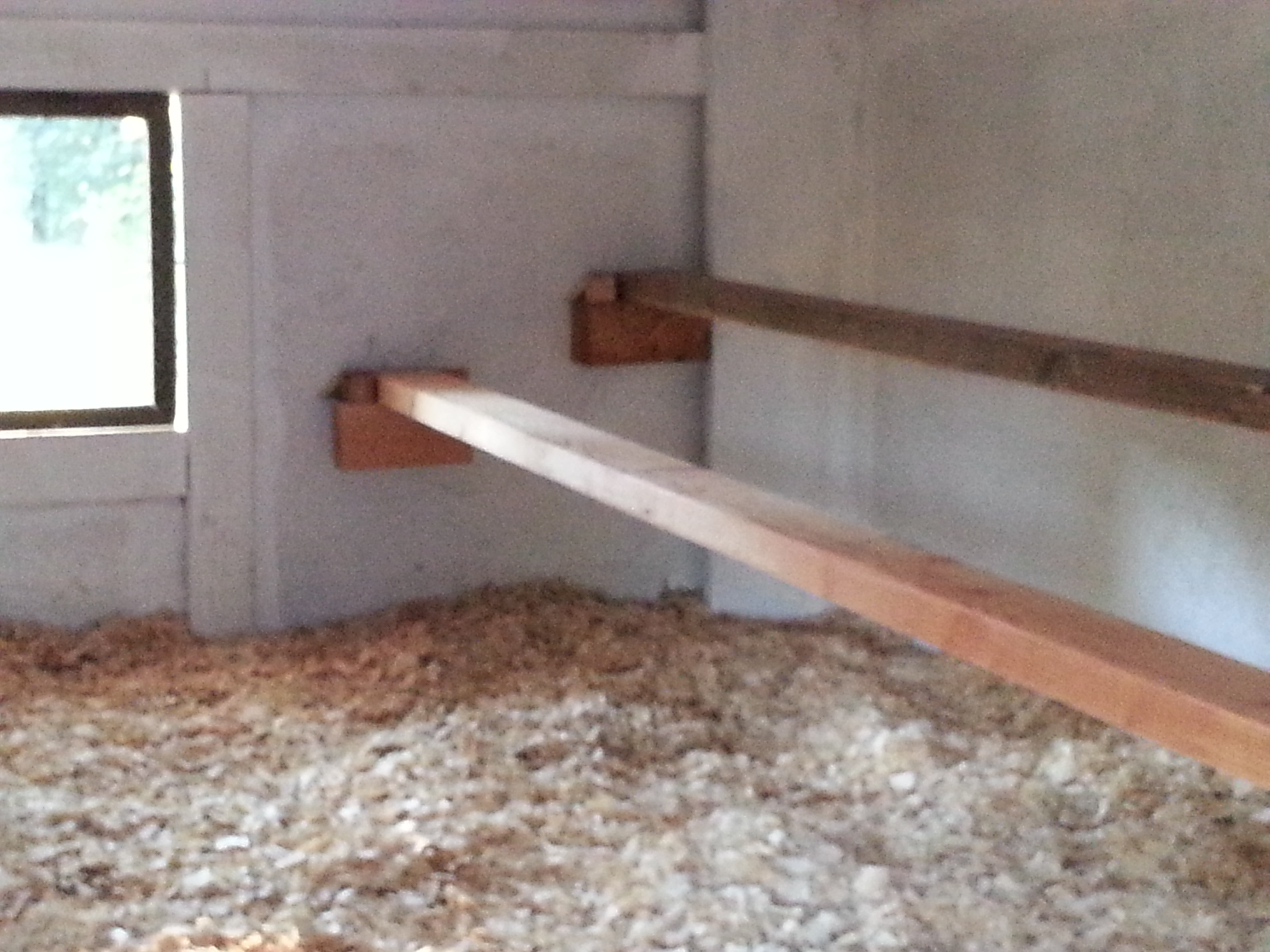 Rethinking the roosts...will probably take out the lower 2x4 to make more floor space for my first flock of 6.