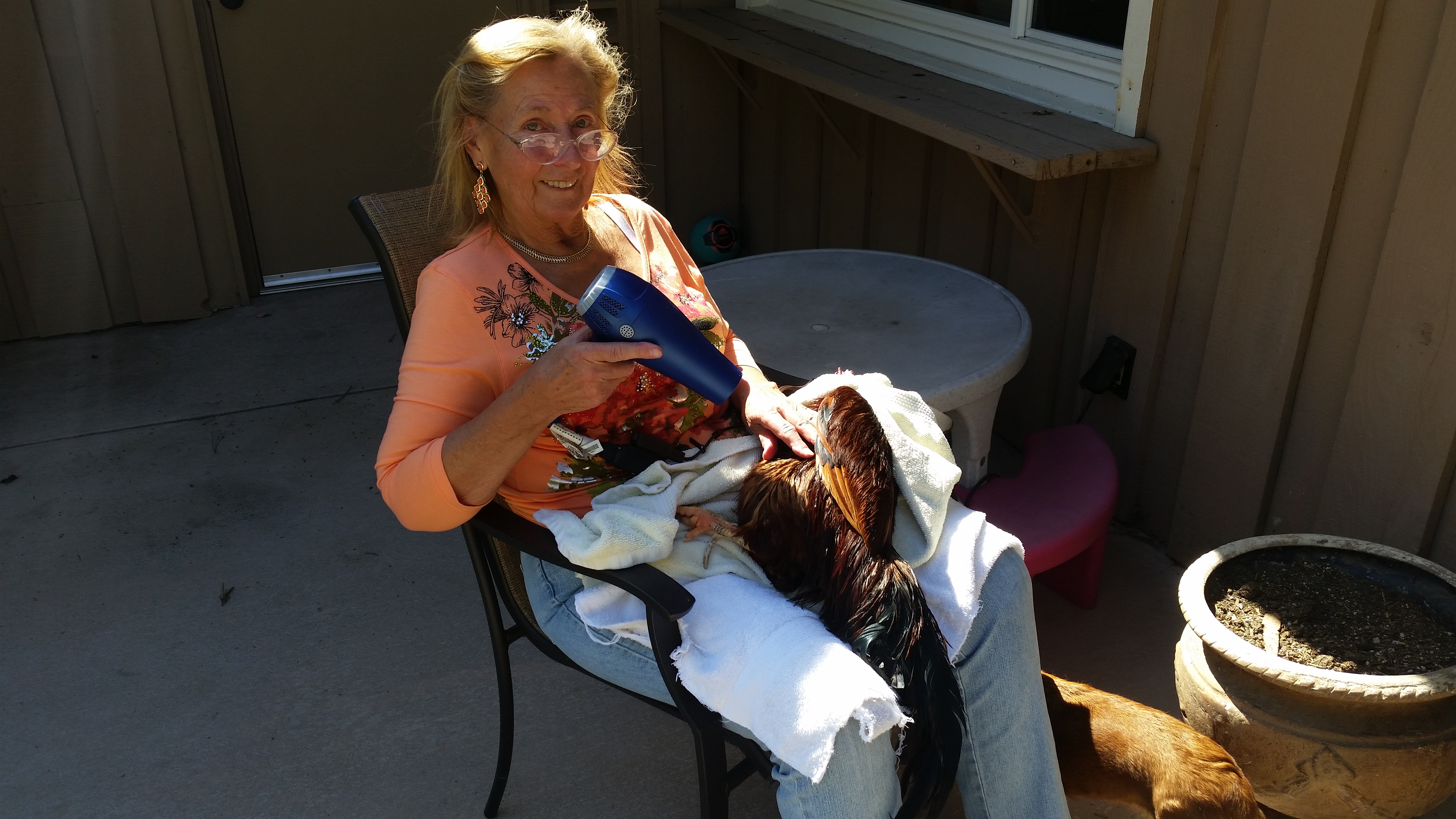 Rhode Island Rooter Drying