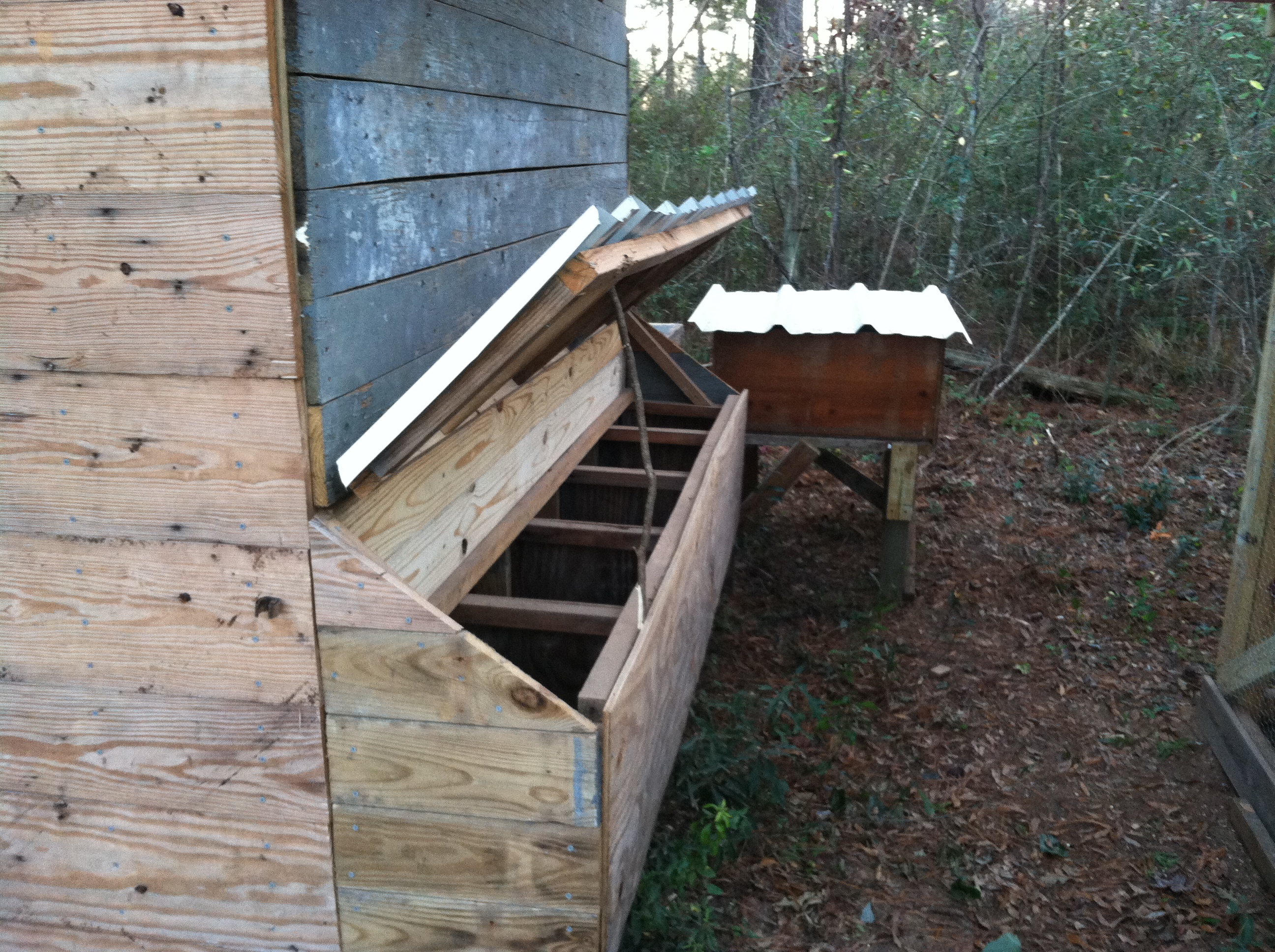 Right now I just prop the lid of the laying boxes up with a stick, but I'm going to add an eye bolt, string, and hook for a pull and latch.